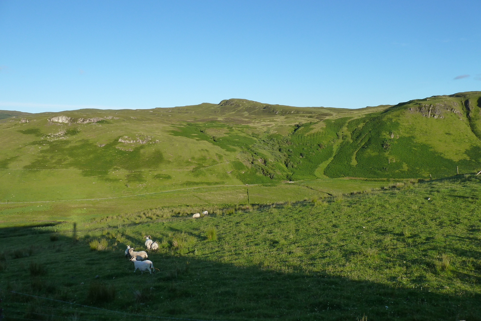 รูปถ่าย อังกฤษ(United Kingdom) เกาะสกาย(Skye) 2011-07 245