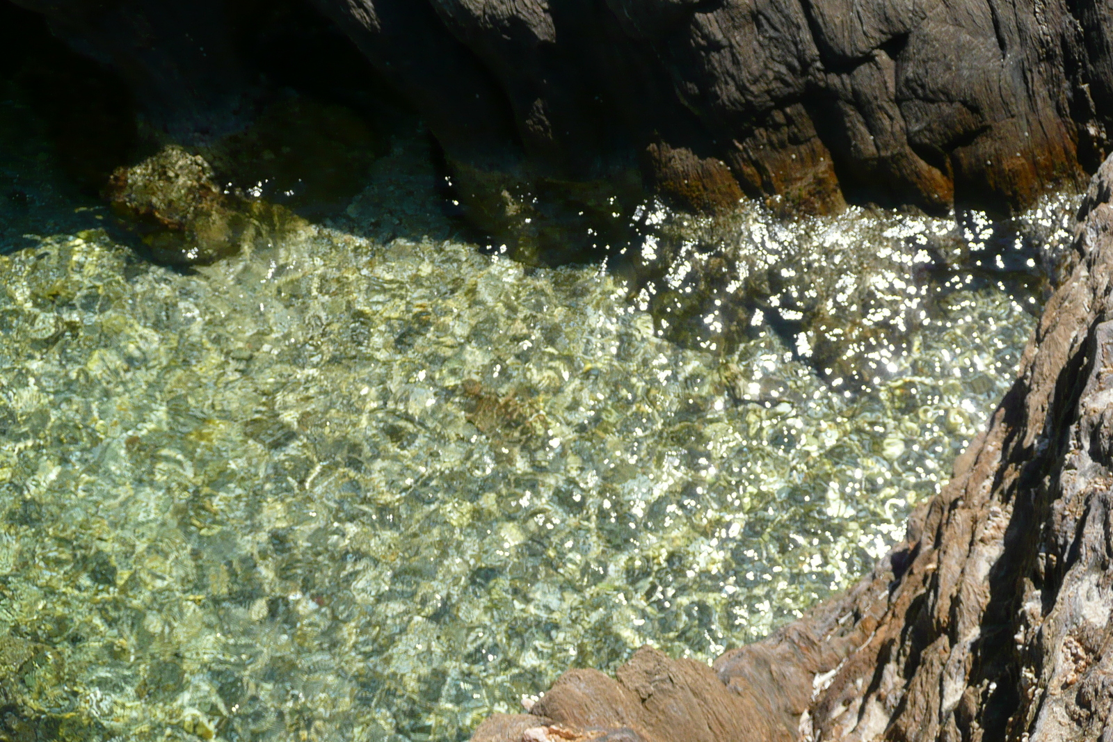 รูปถ่าย ฝรั่งเศส(France) เกาะปอร์เกอรอล(Porquerolles Island) แหลมเลอแก็ง(Pointe du Lequin) 2008-05 7