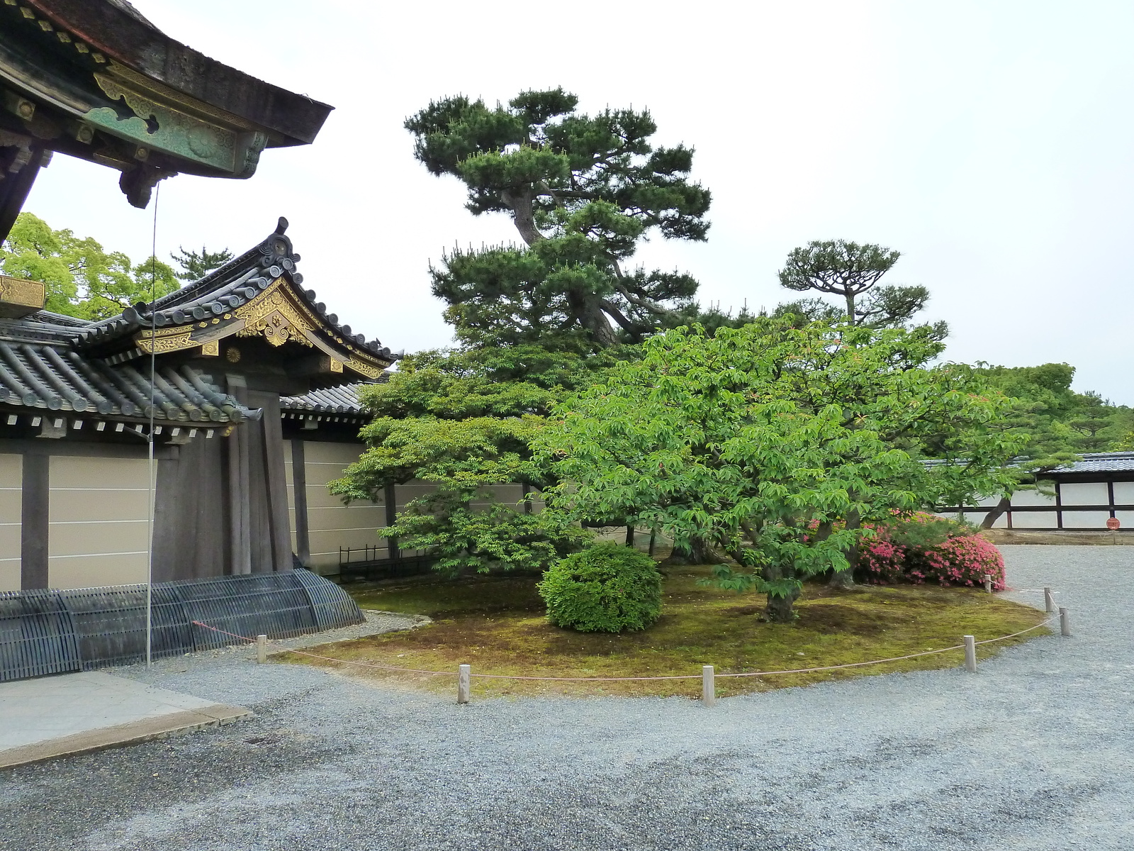 รูปถ่าย ญี่ปุ่น(Japan) เกียวโต(Kyoto) ปราสาทนิโจ(Nijo Castle) 2010-06 43