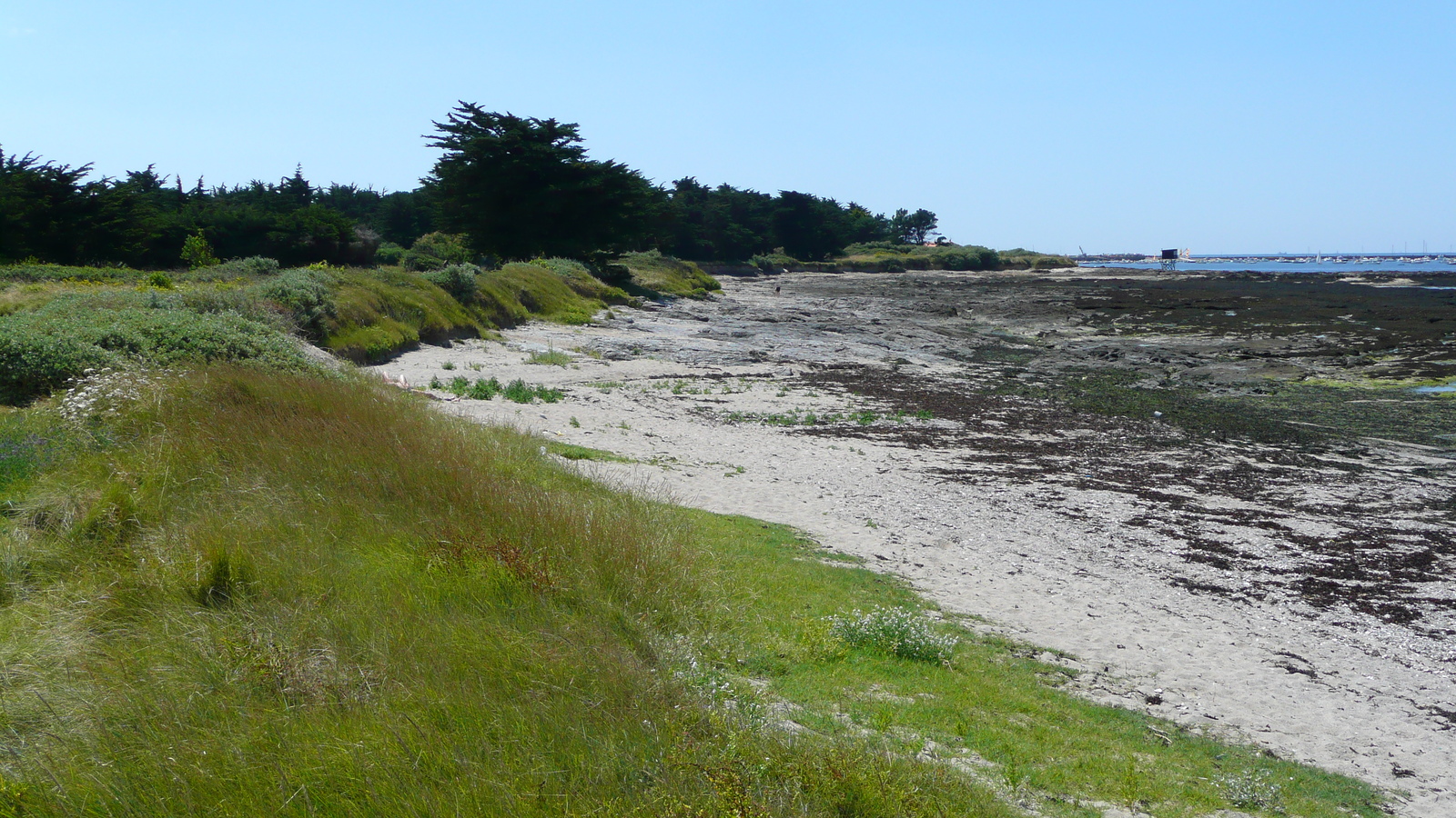 รูปถ่าย ฝรั่งเศส(France) เพรฟาย(Prefailles) จากแหลมแซ็ง-ฌีลดาไปลาเปร(La pointe Saint Gildas to La Pree) 2007-08 17