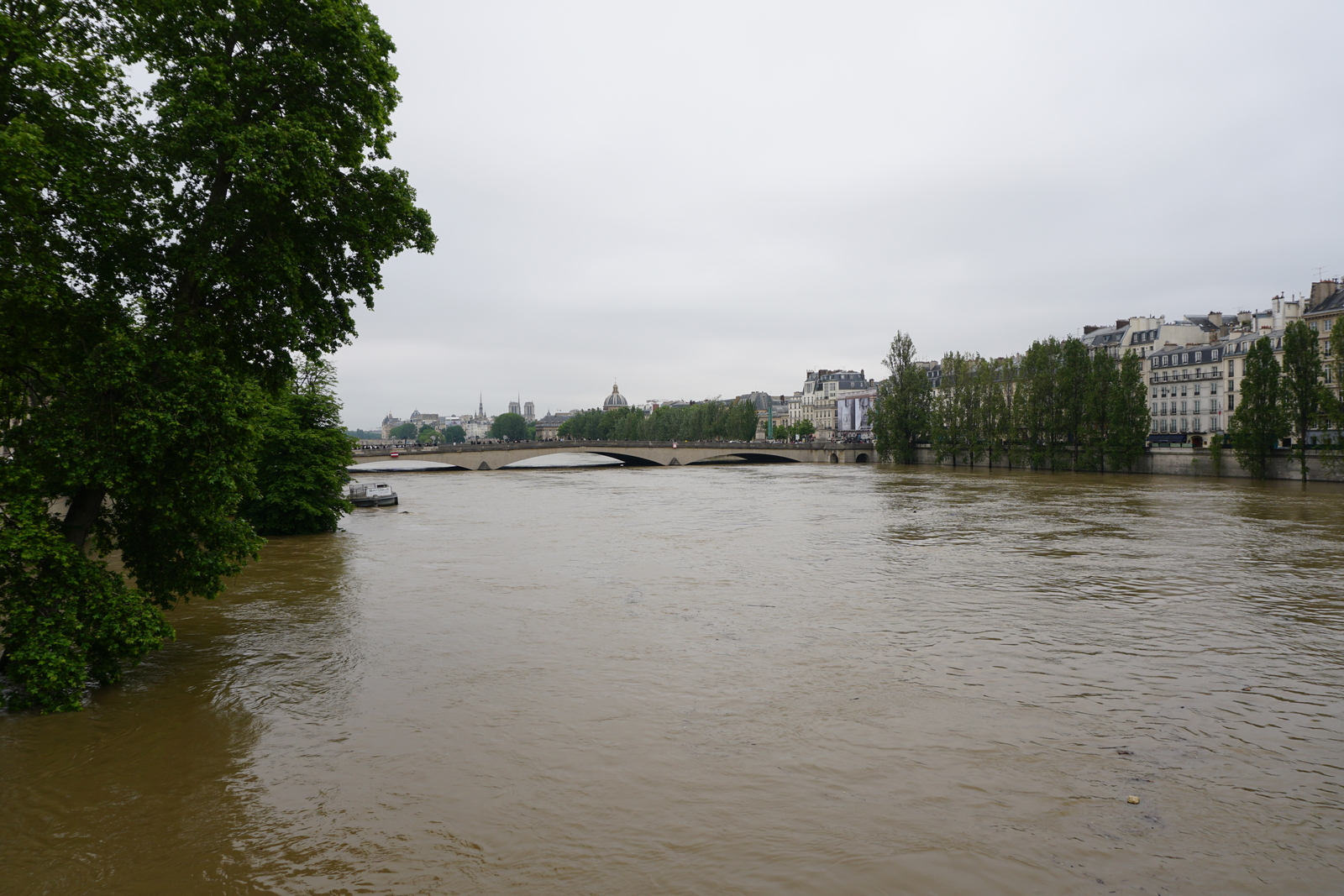 รูปถ่าย ฝรั่งเศส(France) ปารีส(Paris) แม่น้ำแซน(Seine river) 2016-06 41