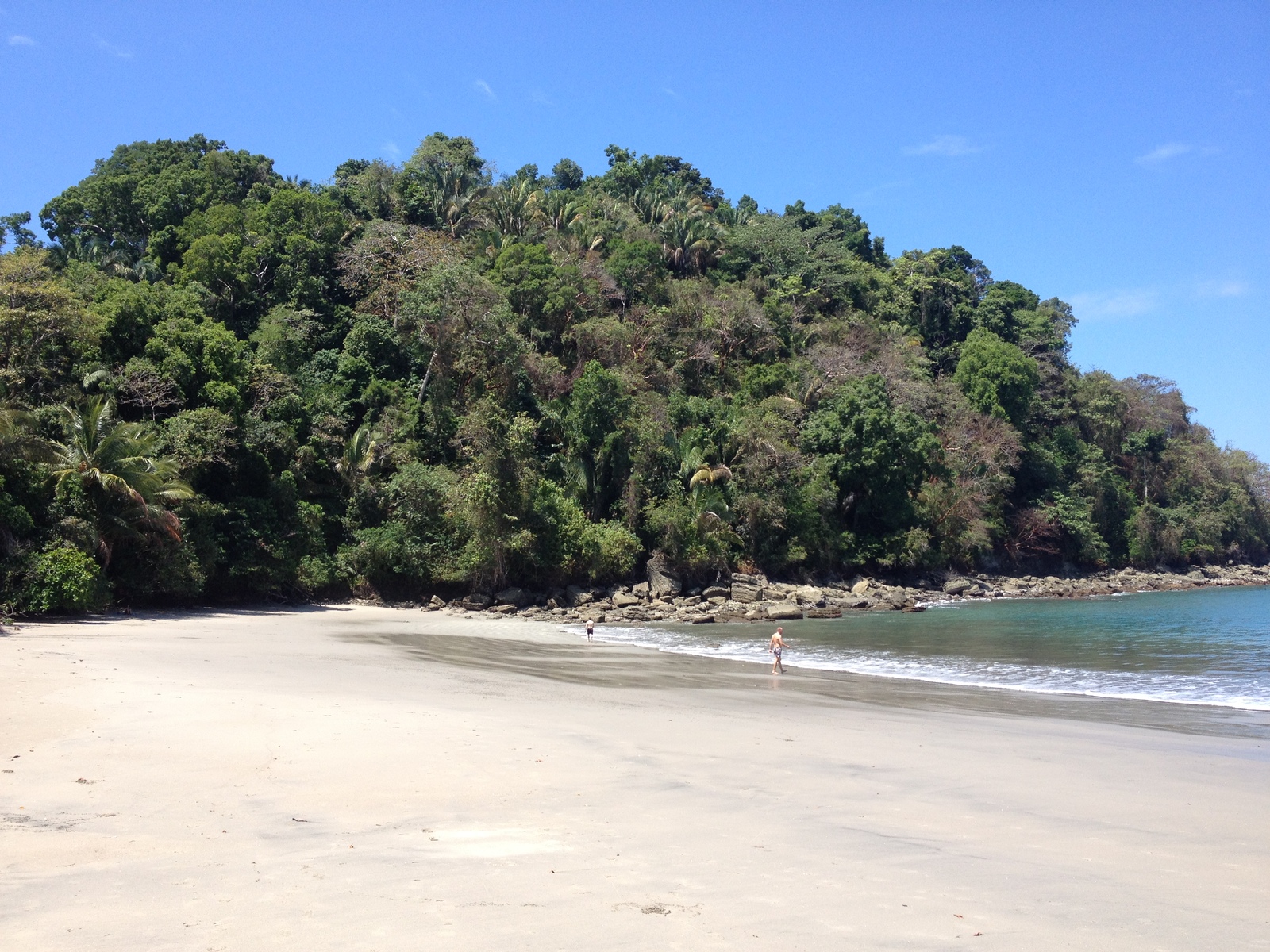 รูปถ่าย คอสตาริกา(Costa Rica) มานวยล์อันโตนีโอ(Manuel Antonio) 2015-03 362