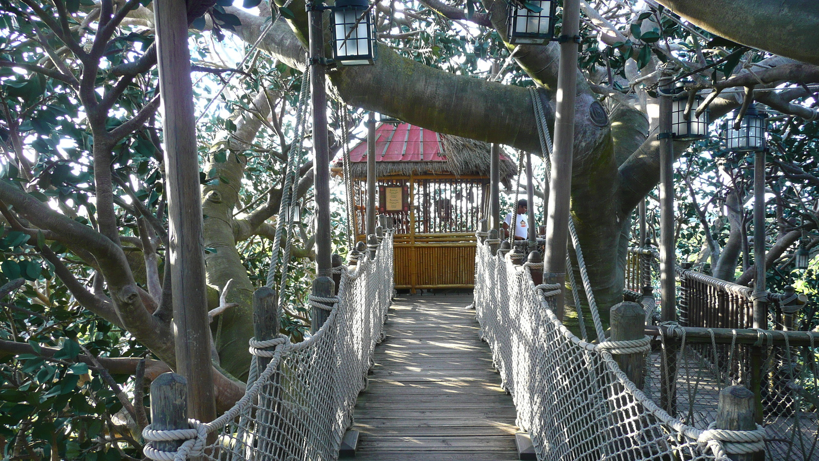 รูปถ่าย ฝรั่งเศส(France) ดิสนีย์แลนด์ปารีส(Disneyland Paris) บ้านต้นไม้โรบินสัน(La Cabane des Robinson) 2007-07 14