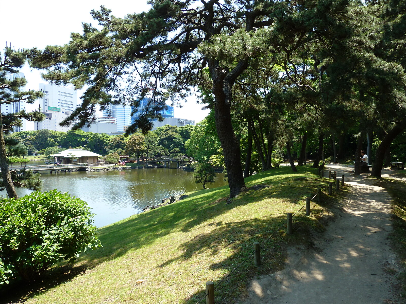 รูปถ่าย ญี่ปุ่น(Japan) โตเกียว(Tokyo) สวนฮามะริคิว(Hama rikyu Gardens) 2010-06 97