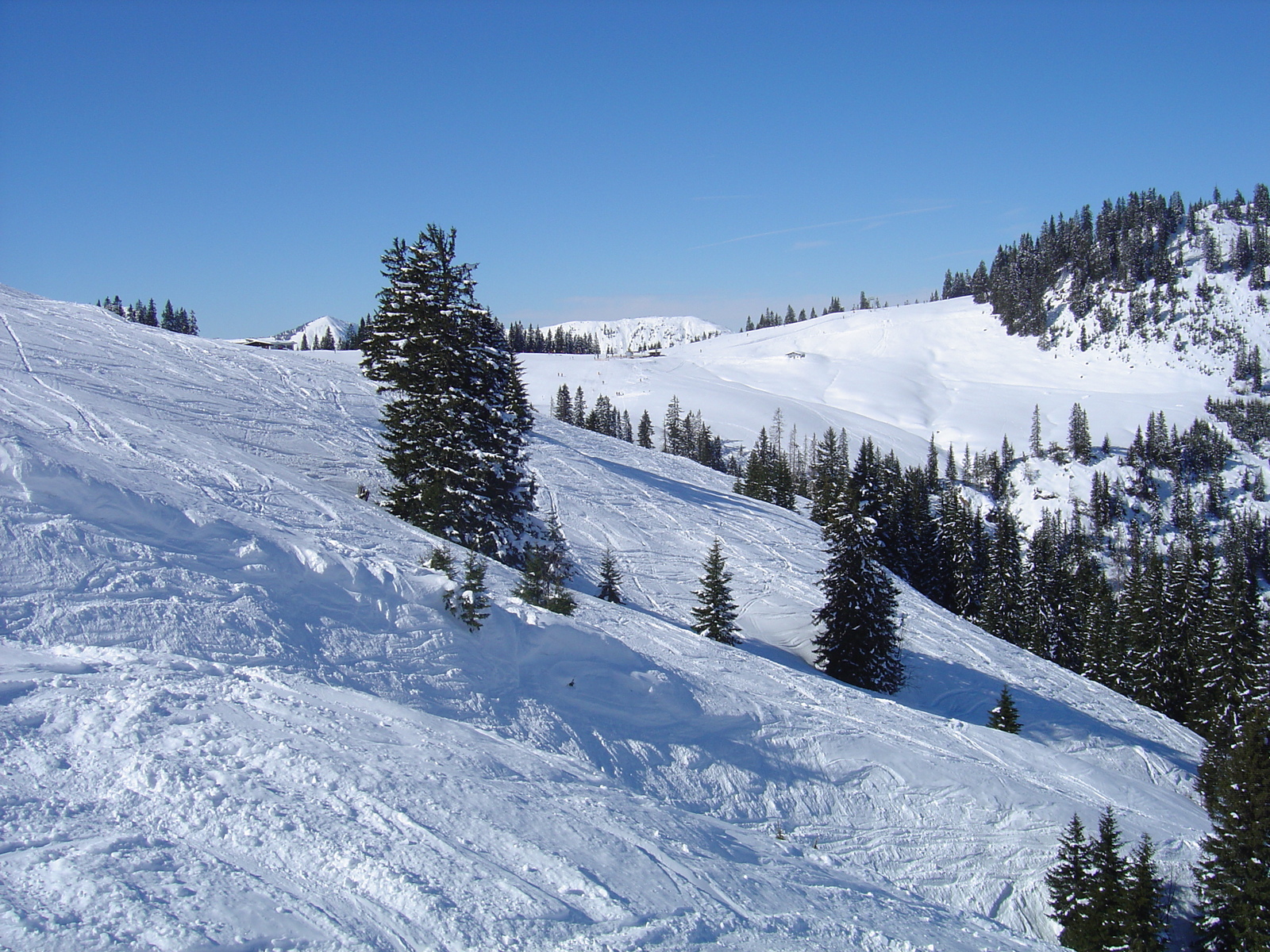 รูปถ่าย ออสเตรีย(Austria) คิทซ์บูเฮล(Kitzbuhel) สกี(Ski) 2005-03 78
