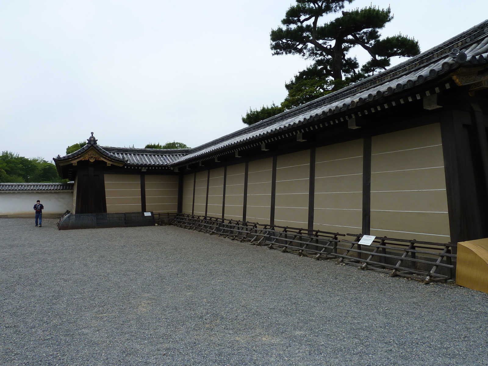 รูปถ่าย ญี่ปุ่น(Japan) เกียวโต(Kyoto) ปราสาทนิโจ(Nijo Castle) 2010-06 128