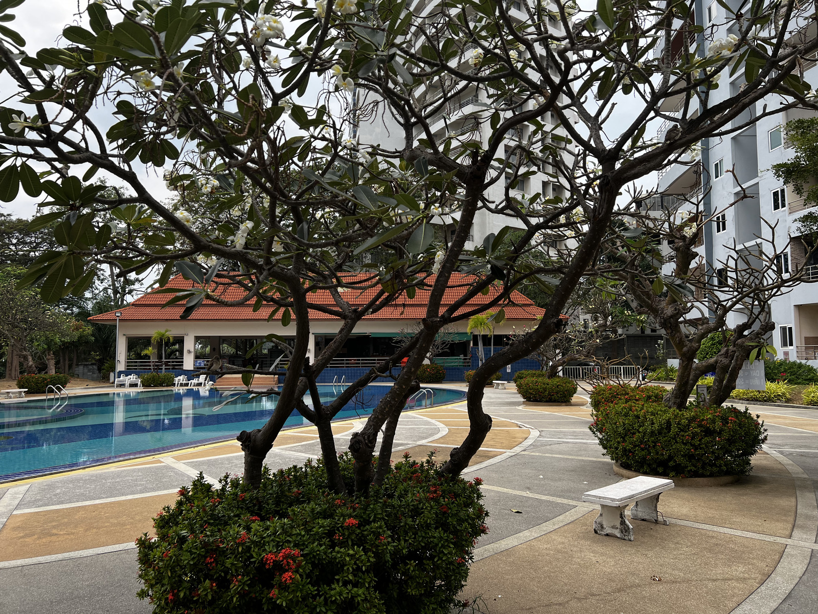 รูปถ่าย ไทย(Thailand) พัทยา(Pattaya) 2023-01 33