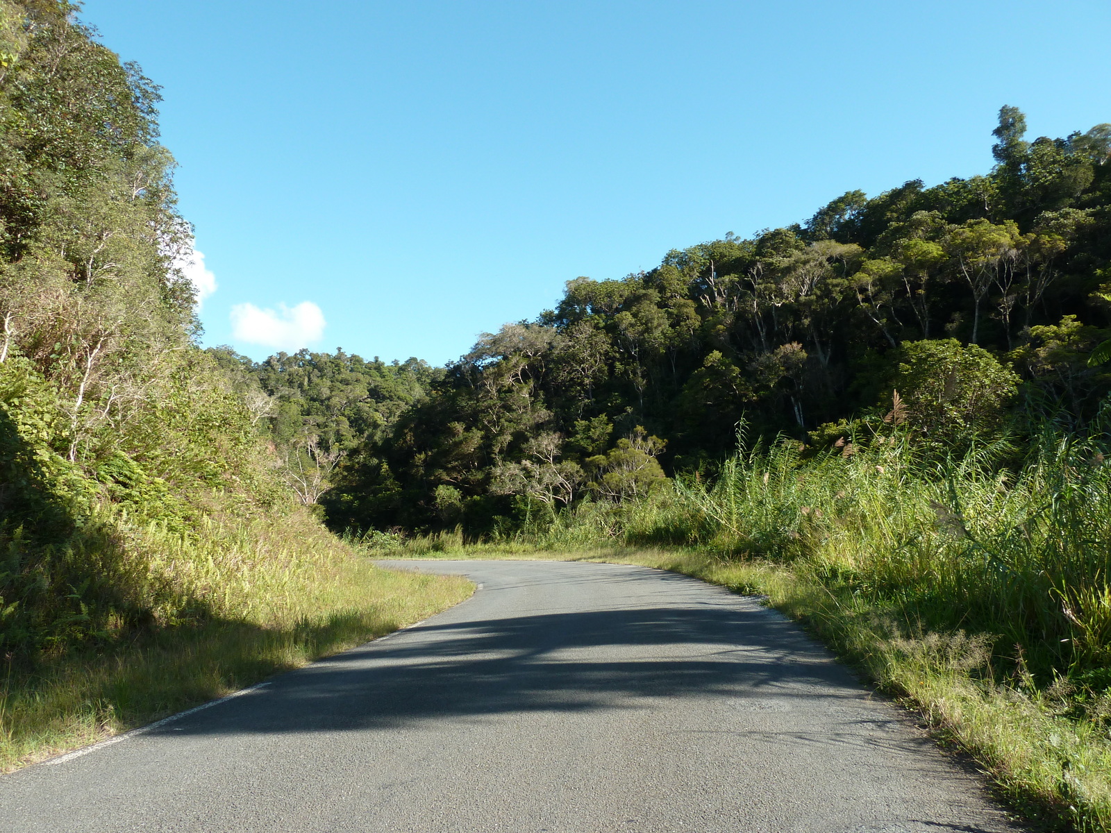 รูปถ่าย นิวแคลิโดเนีย(New Caledonia) ถนนจากกานาลาไปลาฟัว(Canala to La Foa road) 2010-05 25