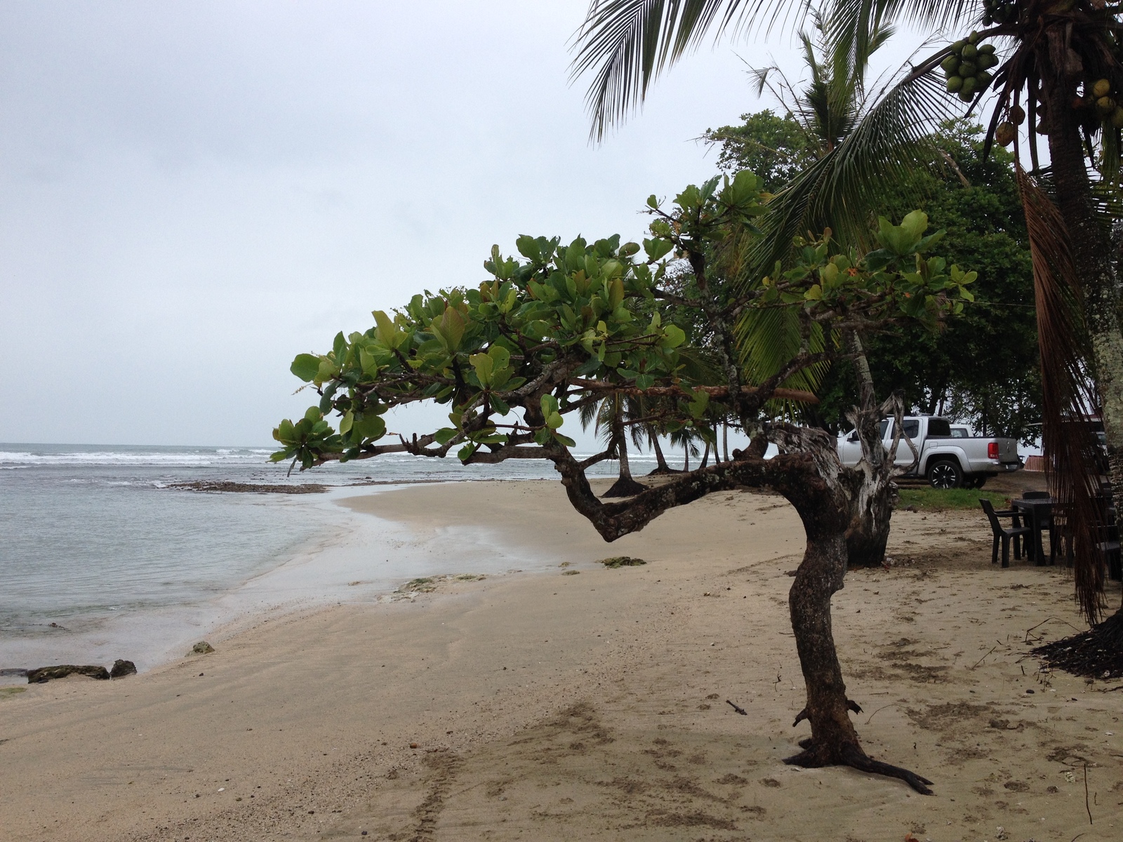 รูปถ่าย คอสตาริกา(Costa Rica) ปวยร์โตเบียโฆเดตาลามังกา(Puerto Viejo de Talamanca) 2015-03 113