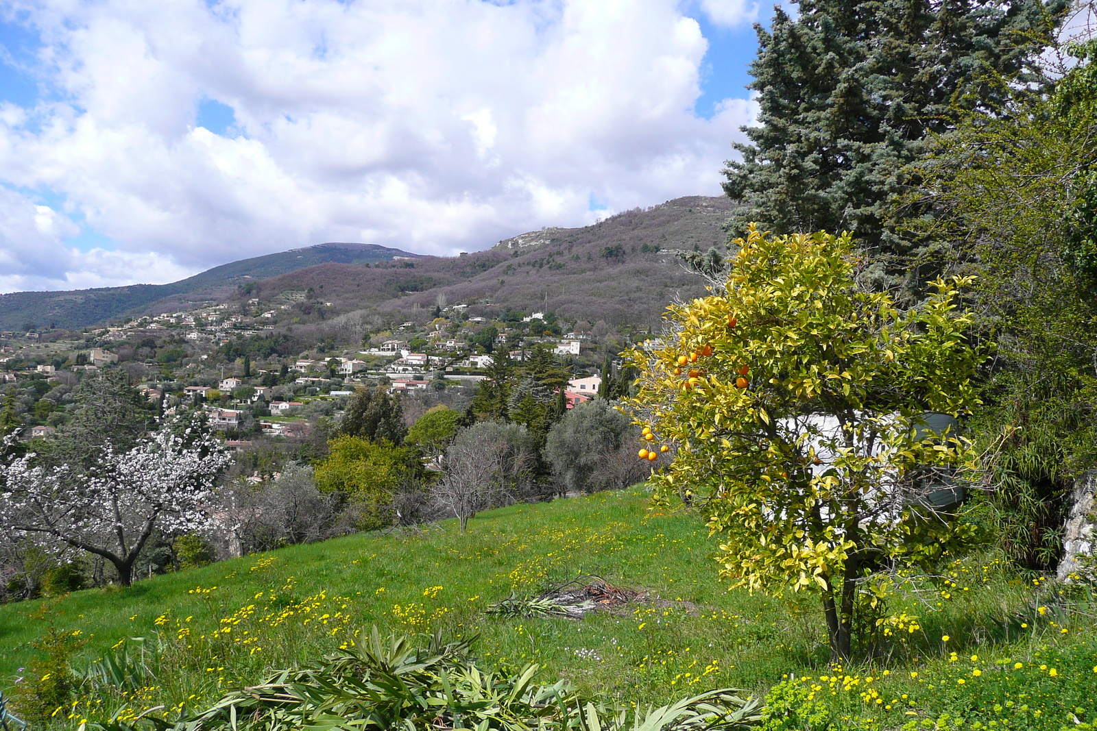 รูปถ่าย ฝรั่งเศส(France) วังซ์(Vence) โอเดอว็องส์(Hauts de Vence) 2008-03 34