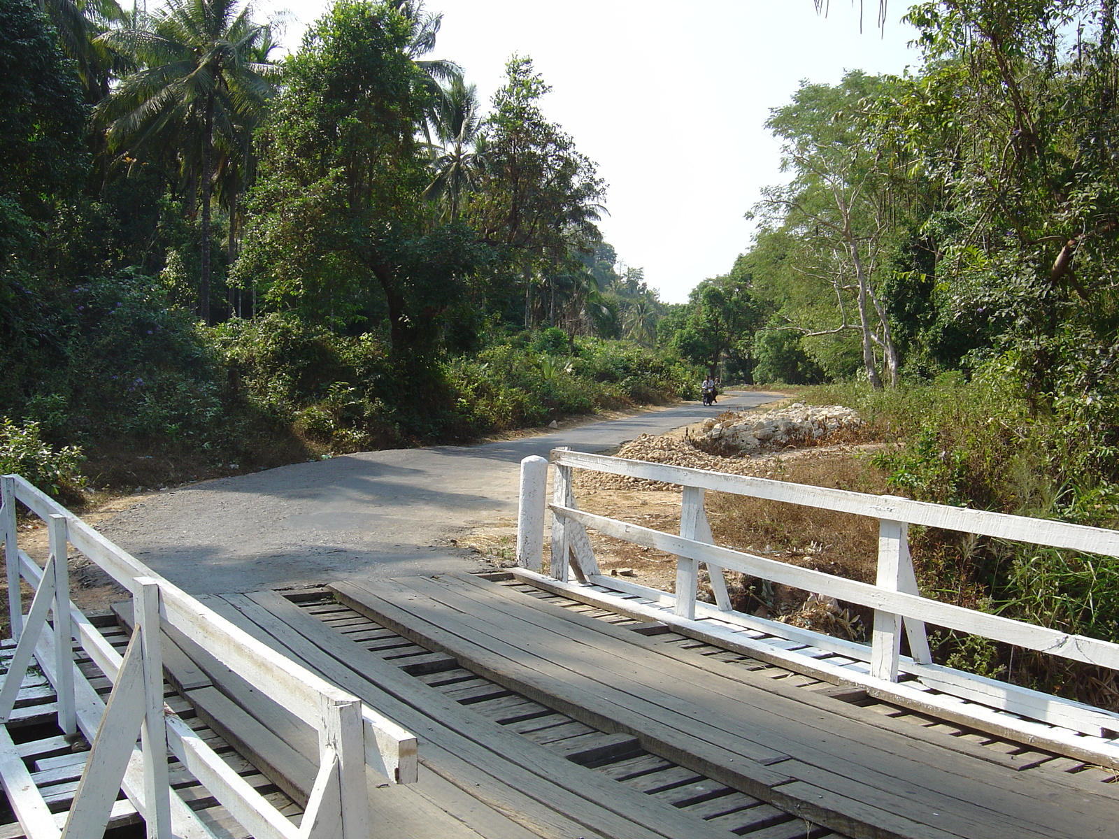 รูปถ่าย พม่า(Myanmar) ถนนจากทวายไปหาดหม่องมะกัน(Road from Dawei to Maungmagan beach) 2005-01 54