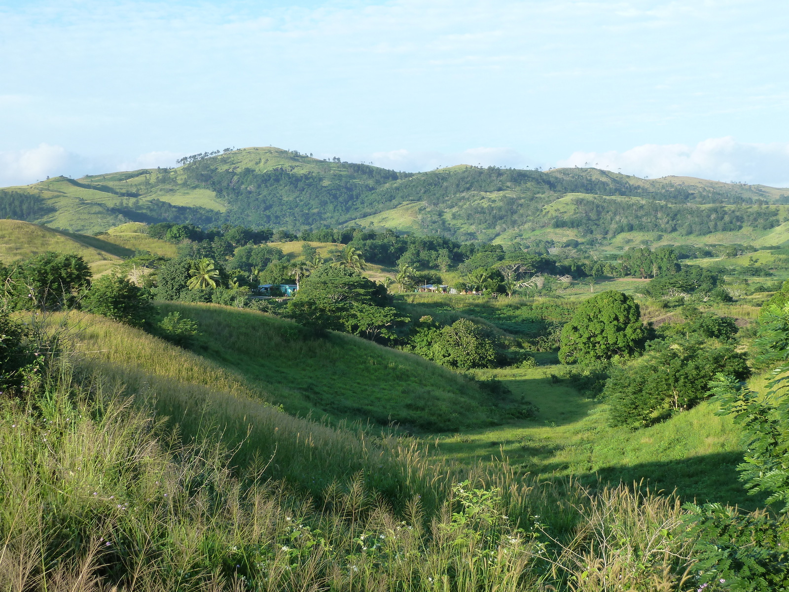 รูปถ่าย ฟิจิ(Fiji) 2010-05 17