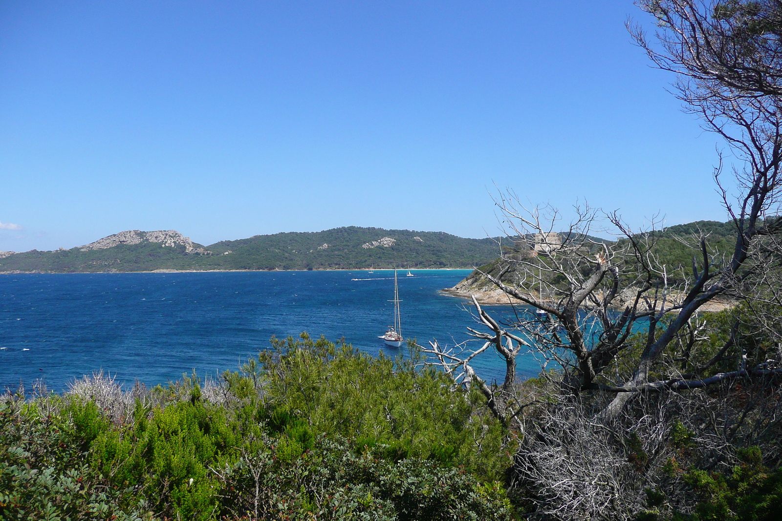 รูปถ่าย ฝรั่งเศส(France) เกาะปอร์เกอรอล(Porquerolles Island) แหลมเลอแก็ง(Pointe du Lequin) 2008-05 14