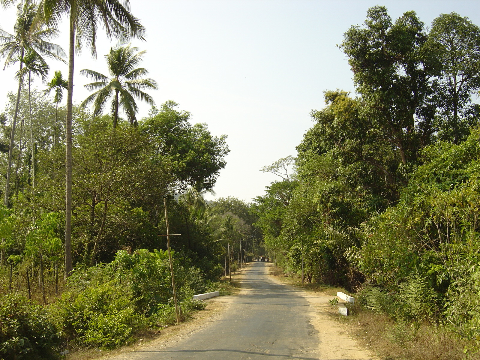 รูปถ่าย พม่า(Myanmar) ถนนจากทวายไปหาดหม่องมะกัน(Road from Dawei to Maungmagan beach) 2005-01 5