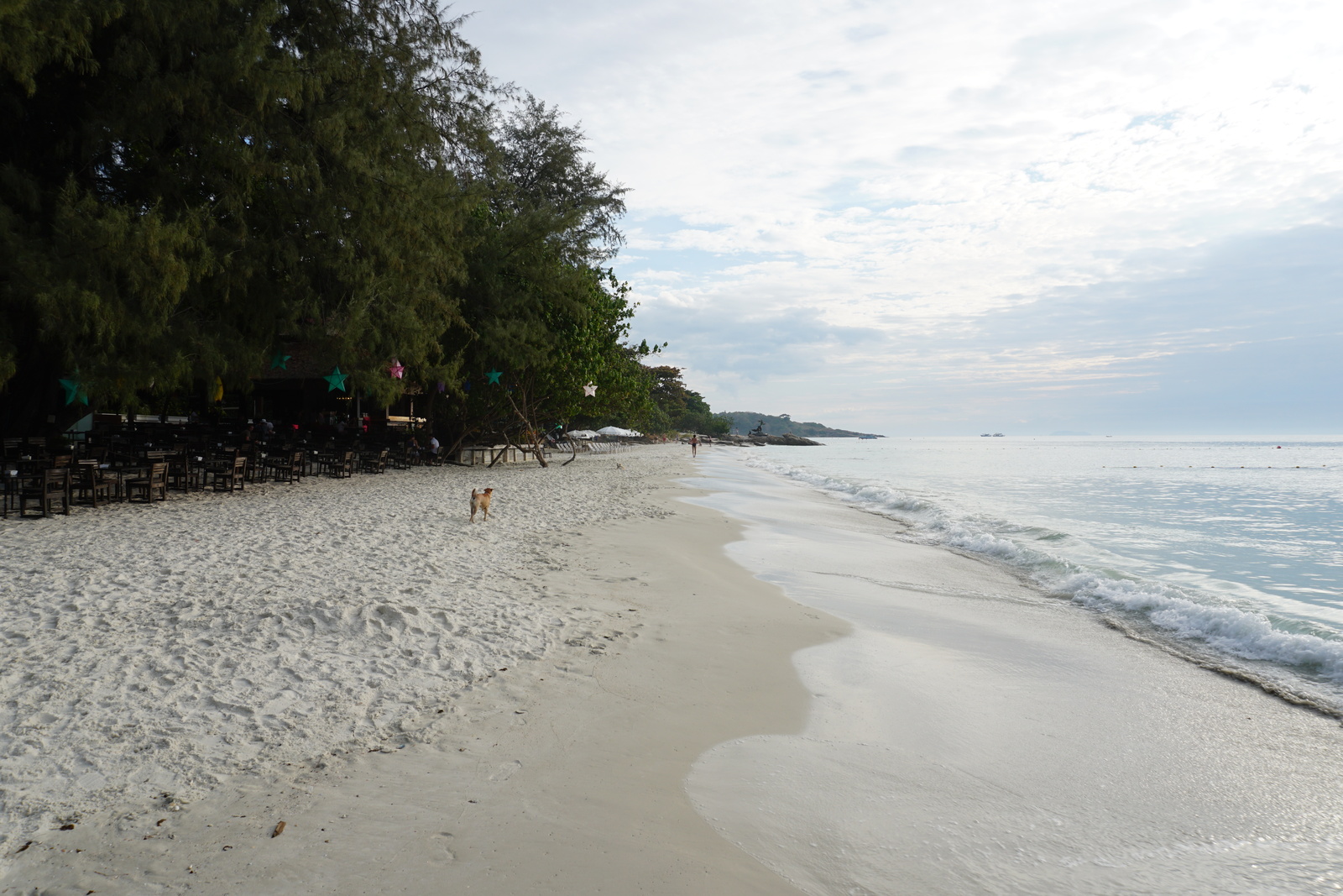 รูปถ่าย ไทย(Thailand) เกาะเสม็ด(Ko Samet) 2016-12 8
