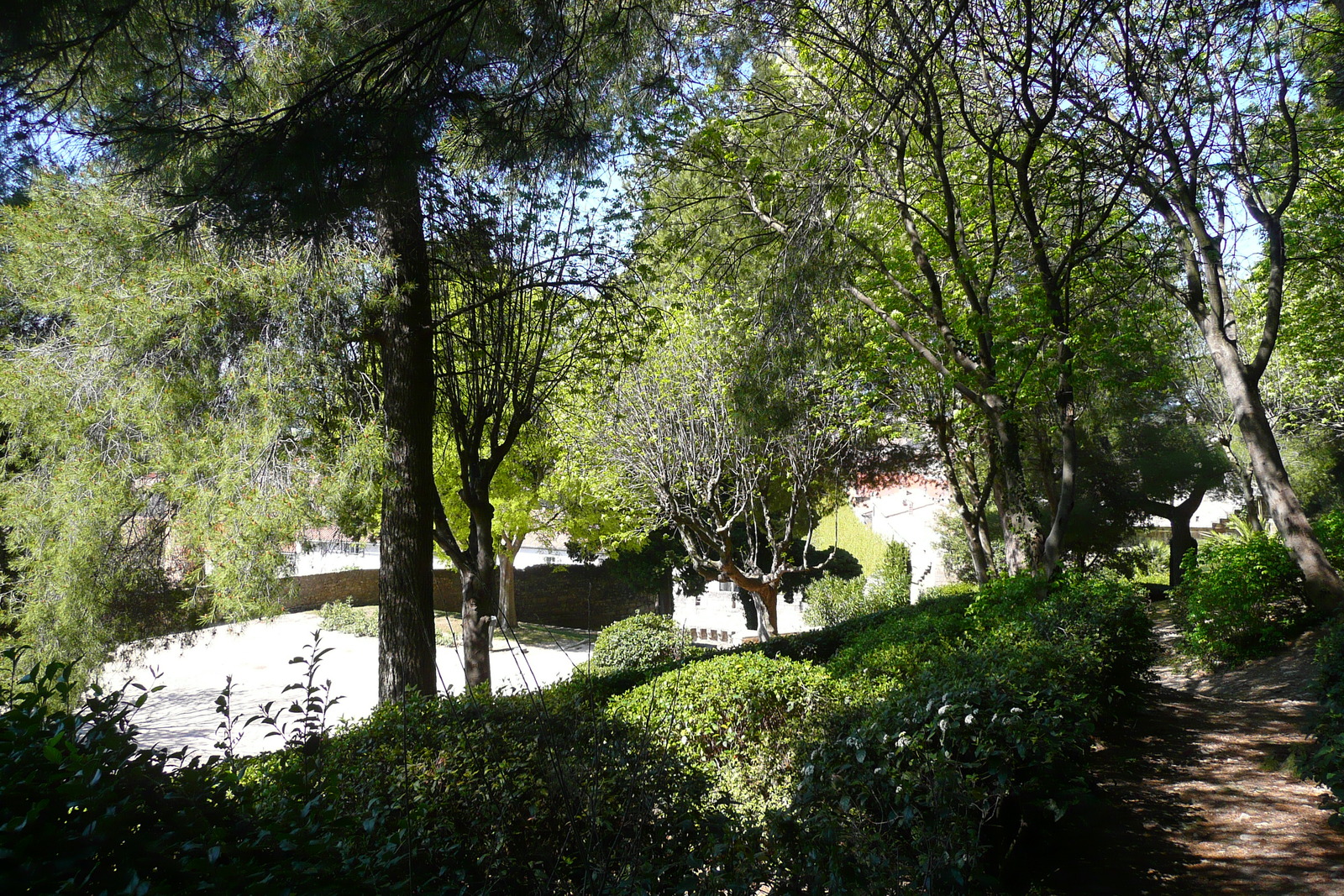 รูปถ่าย ฝรั่งเศส(France) โบแกร์(Beaucaire) ปราสาทโบแกร์(Beaucaire castle) 2008-04 12