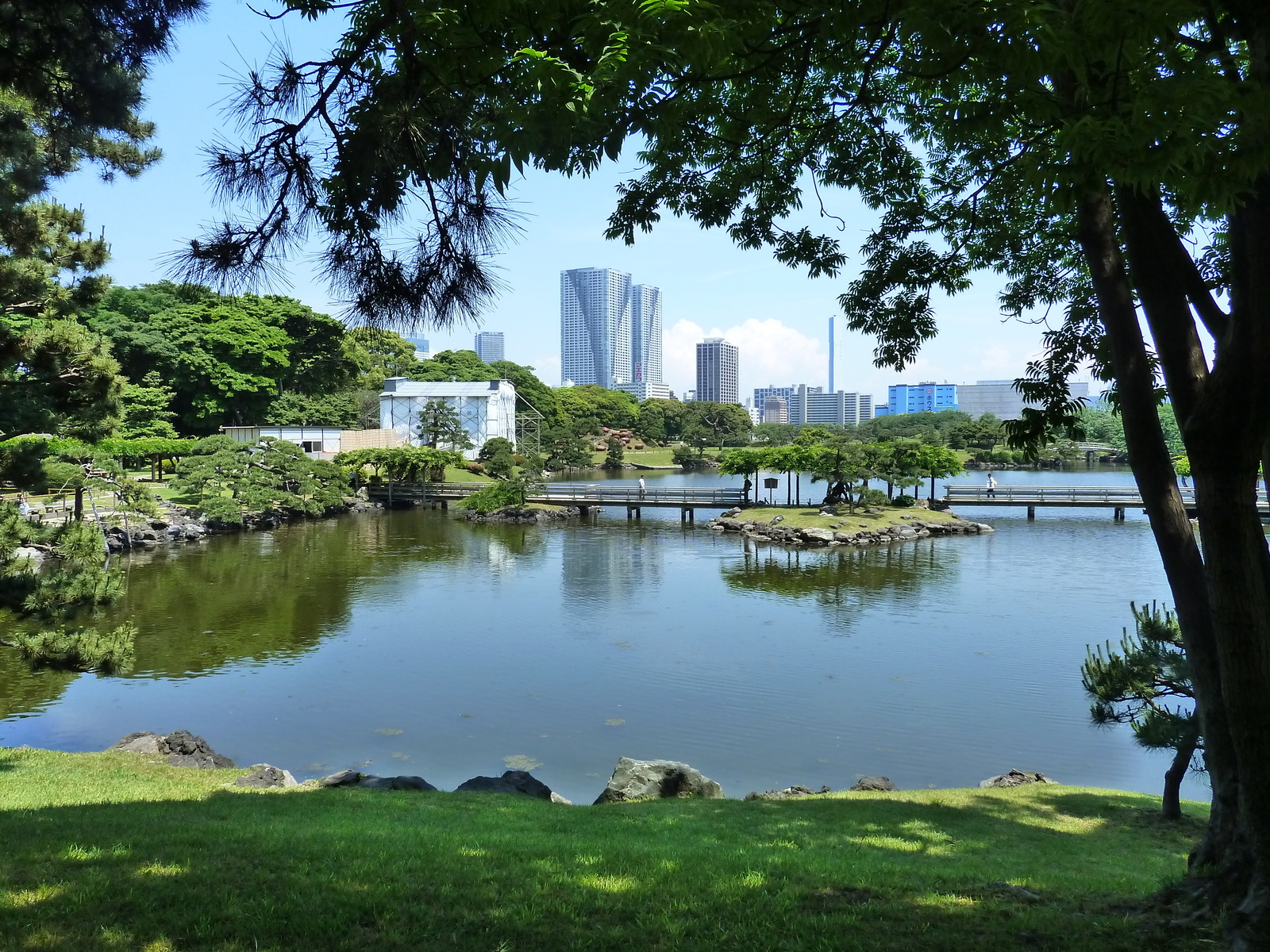 รูปถ่าย ญี่ปุ่น(Japan) โตเกียว(Tokyo) สวนฮามะริคิว(Hama rikyu Gardens) 2010-06 98