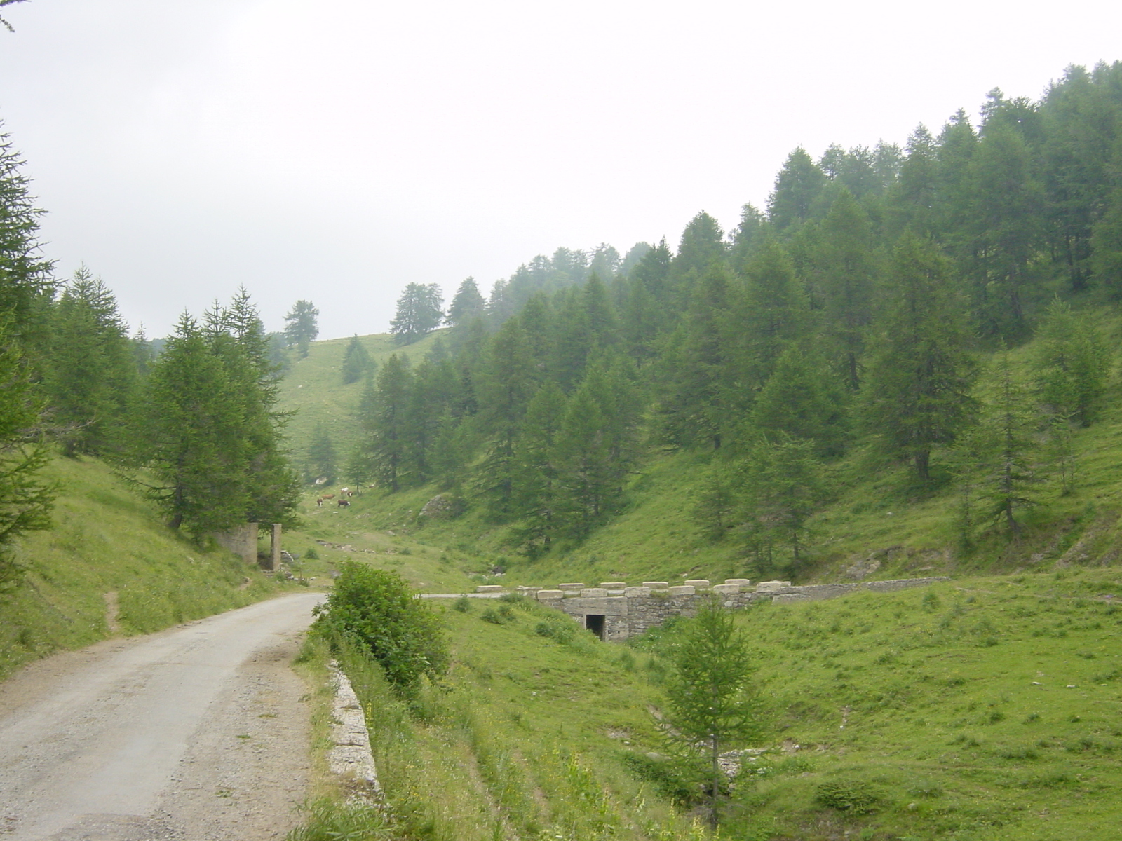 รูปถ่าย ฝรั่งเศส(France) แมร์กองตูร์(Mercantour) 2003-07 54