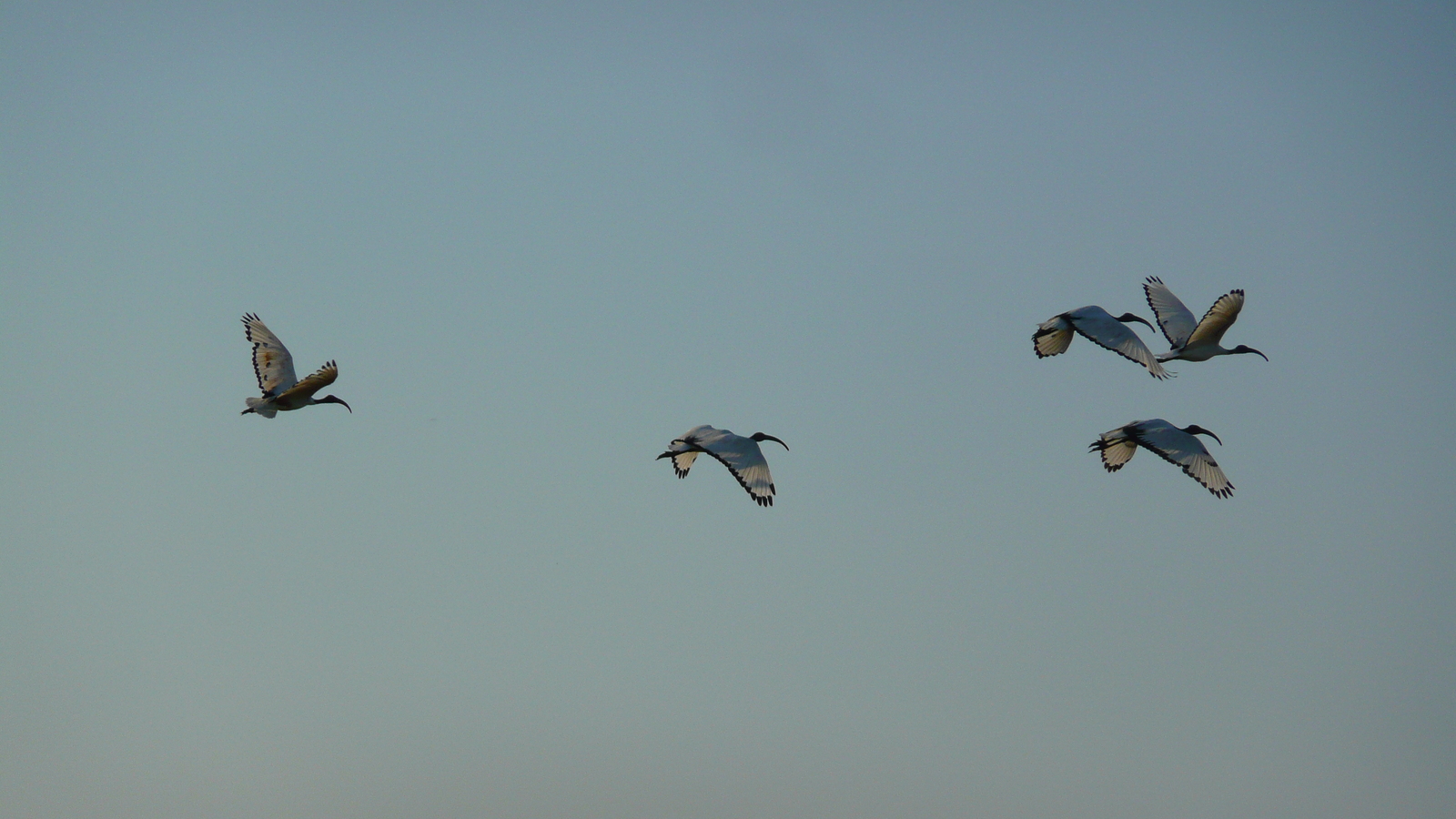 รูปถ่าย ฝรั่งเศส(France) เกรองเดอ(Guerande) นาเกลือ(Les marais salants) 2007-08 7