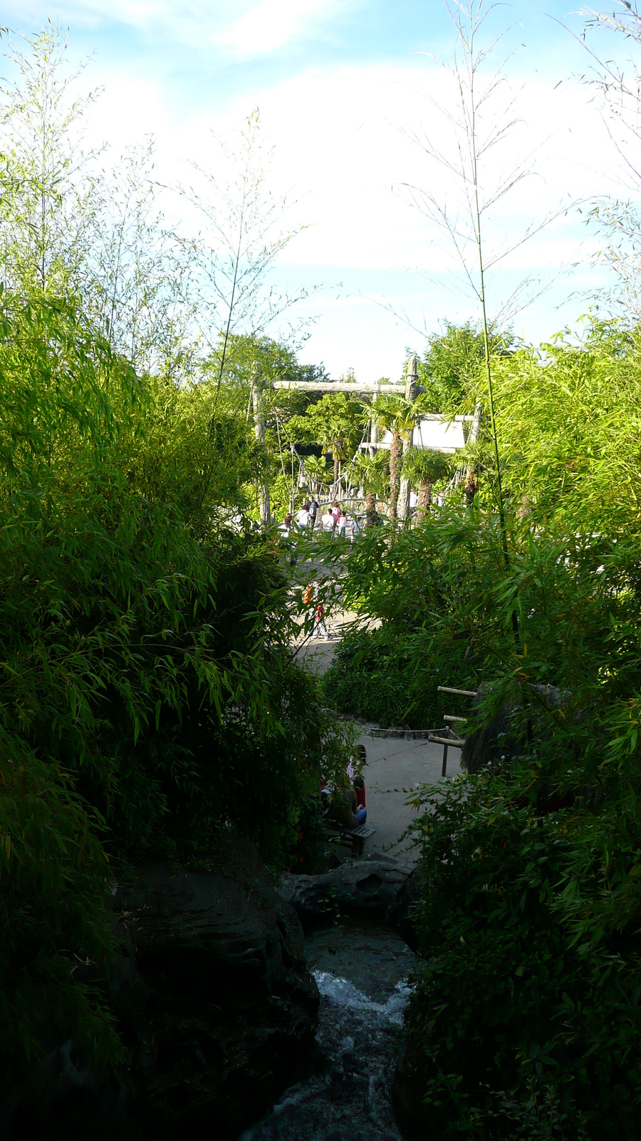รูปถ่าย ฝรั่งเศส(France) ดิสนีย์แลนด์ปารีส(Disneyland Paris) บ้านต้นไม้โรบินสัน(La Cabane des Robinson) 2007-07 27