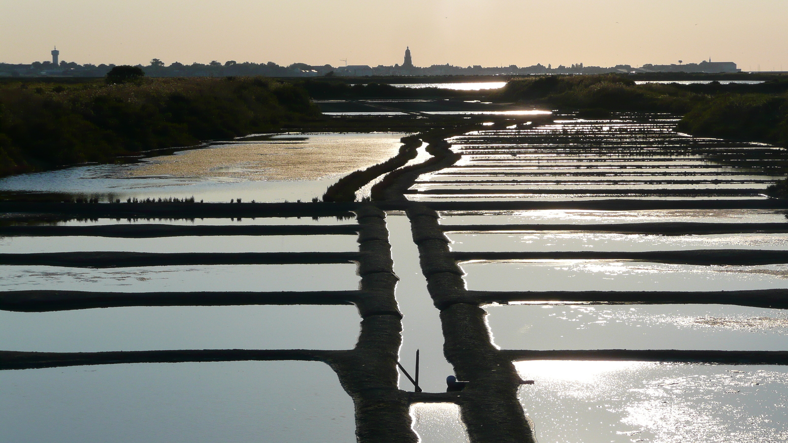 รูปถ่าย ฝรั่งเศส(France) เกรองเดอ(Guerande) นาเกลือ(Les marais salants) 2007-08 22