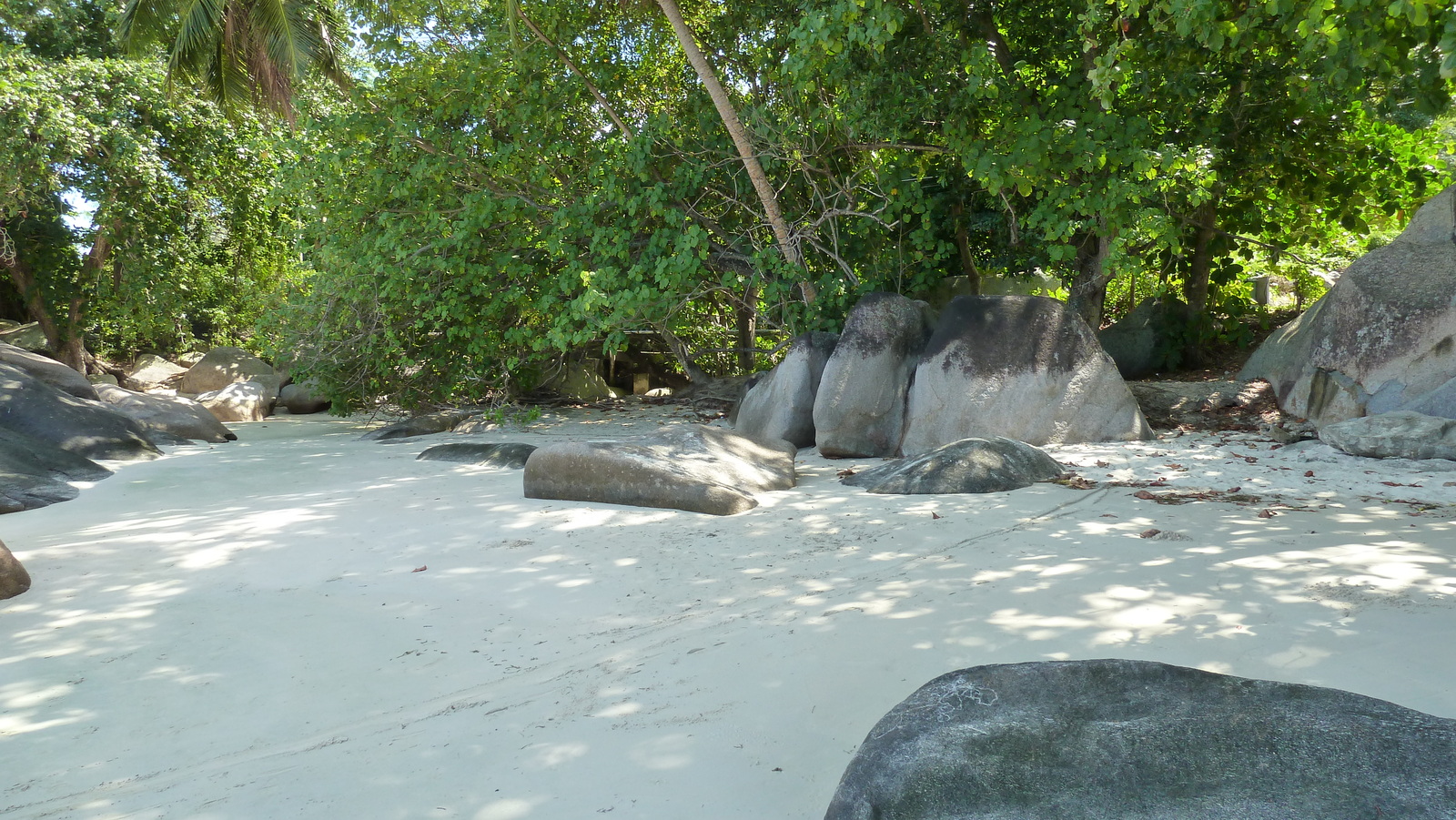 รูปถ่าย เซเชลส์(Seychelles) เกาะมาเฮ(Mahe) 2011-10 132