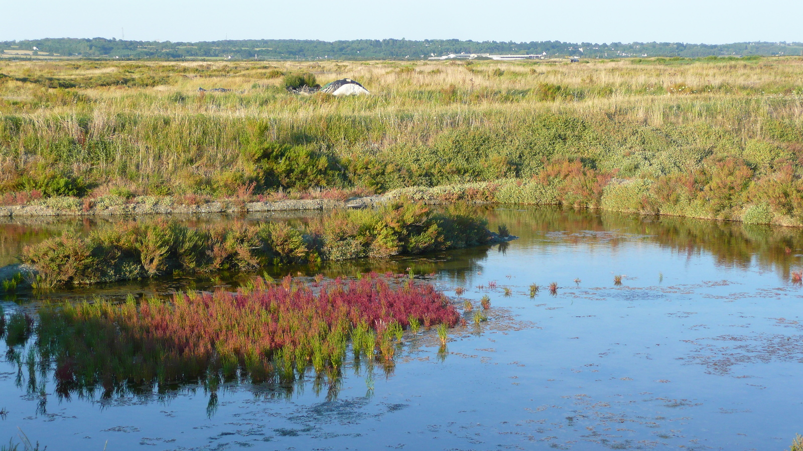 รูปถ่าย ฝรั่งเศส(France) เกรองเดอ(Guerande) นาเกลือ(Les marais salants) 2007-08 29