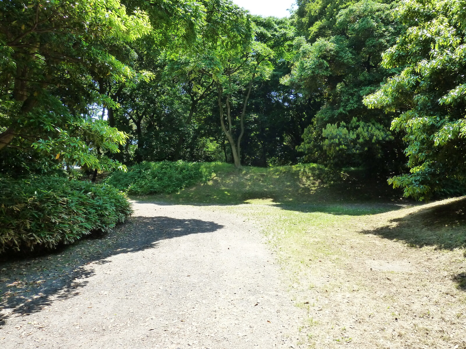 รูปถ่าย ญี่ปุ่น(Japan) โตเกียว(Tokyo) สวนฮามะริคิว(Hama rikyu Gardens) 2010-06 30