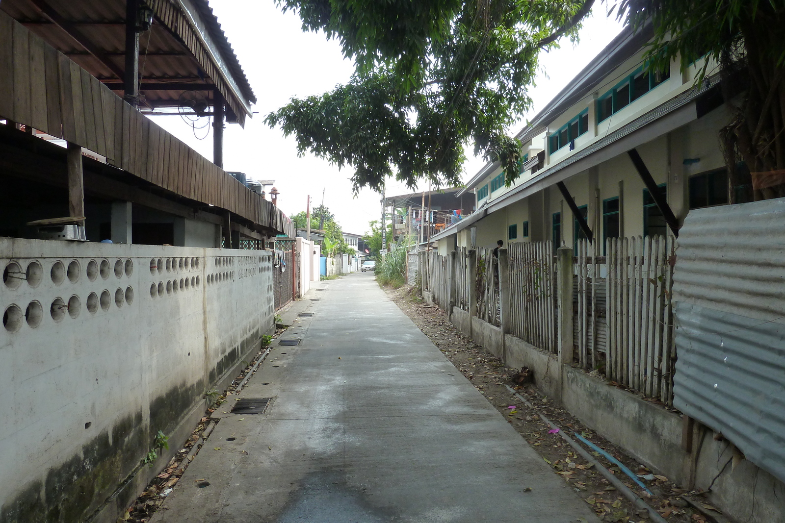 รูปถ่าย ไทย(Thailand) เชียงใหม่(Chiang Mai) 2010-12 61
