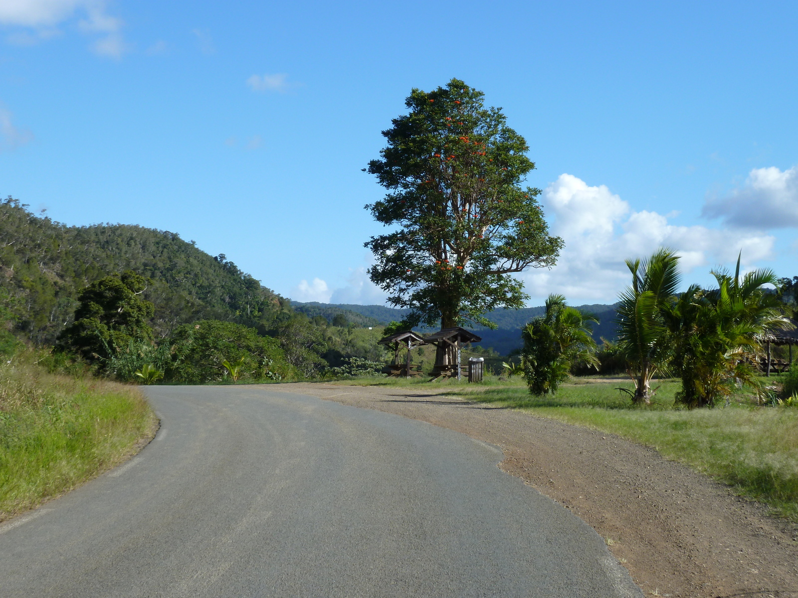 รูปถ่าย นิวแคลิโดเนีย(New Caledonia) ถนนจากกานาลาไปลาฟัว(Canala to La Foa road) 2010-05 42