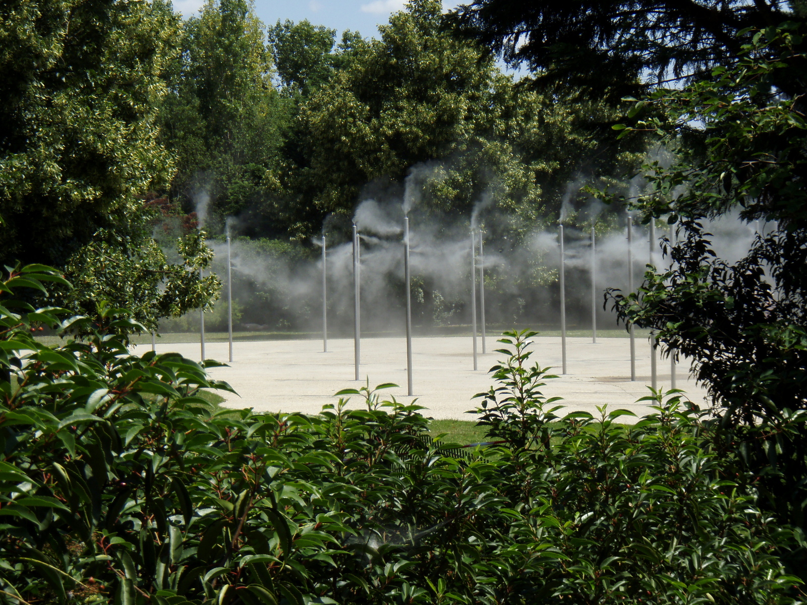 รูปถ่าย ฝรั่งเศส(France) วีลเนิฟ-ลา-การาน(Villeneuve La Garenne) สวนช็องเตอแรน(Parc des Chanteraines) 2007-07 69