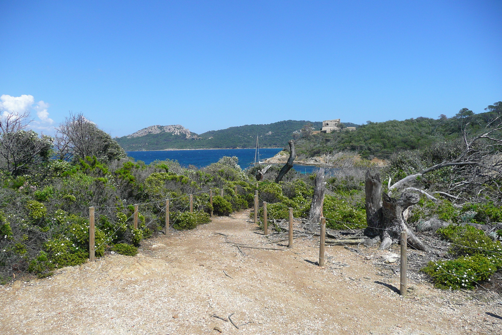 รูปถ่าย ฝรั่งเศส(France) เกาะปอร์เกอรอล(Porquerolles Island) แหลมเลอแก็ง(Pointe du Lequin) 2008-05 37