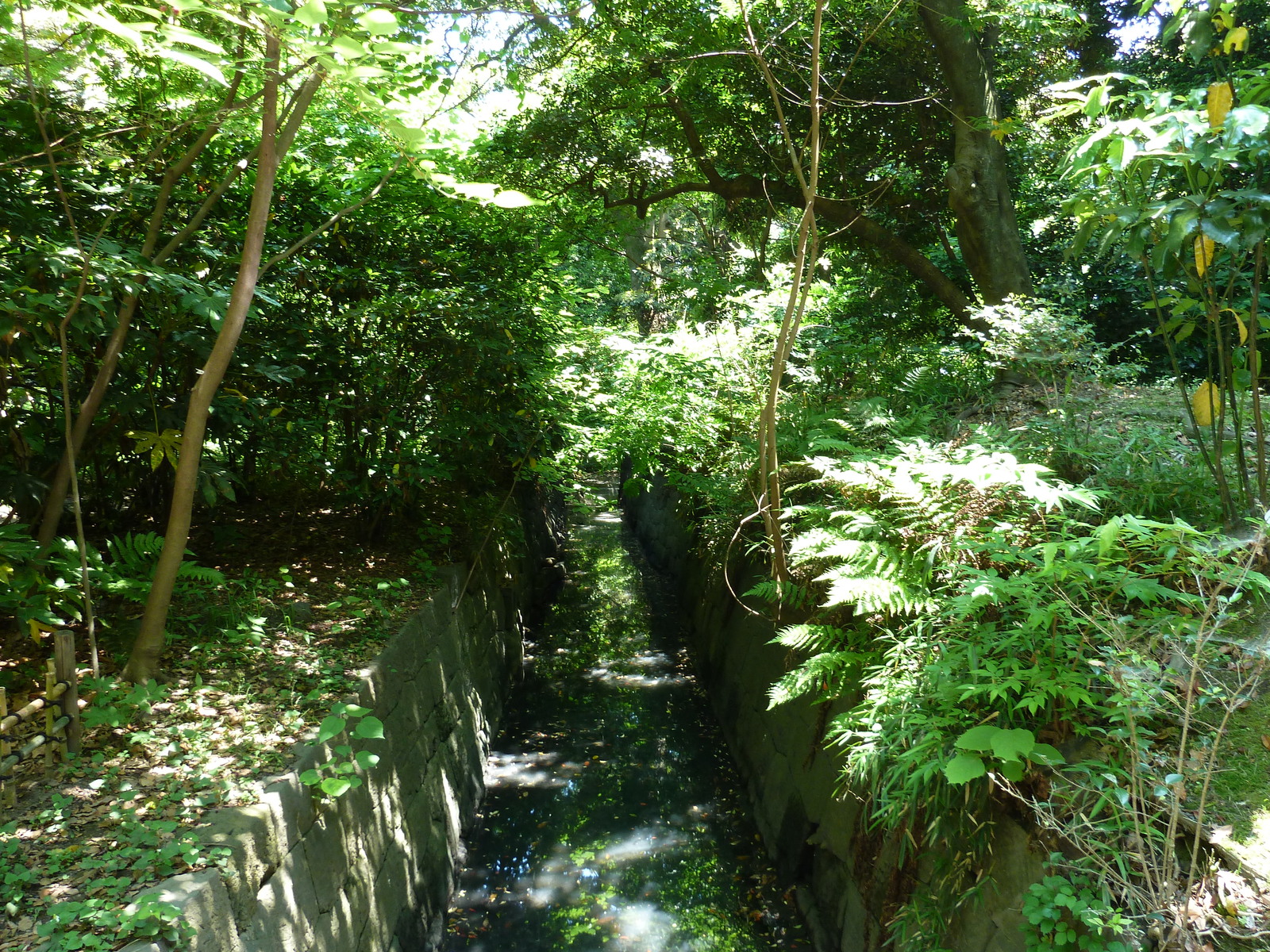 รูปถ่าย ญี่ปุ่น(Japan) โตเกียว(Tokyo) สวนฮามะริคิว(Hama rikyu Gardens) 2010-06 37