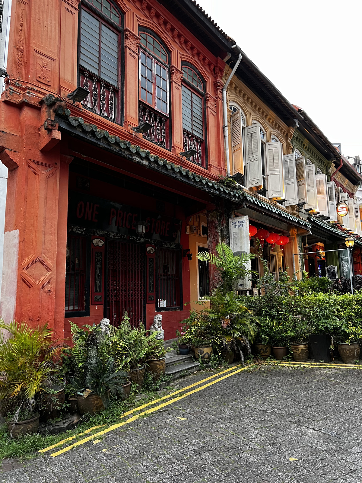 รูปถ่าย สิงคโปร์(Singapore) ถนนออร์ชาร์ด(Orchard road) 2023-01 34