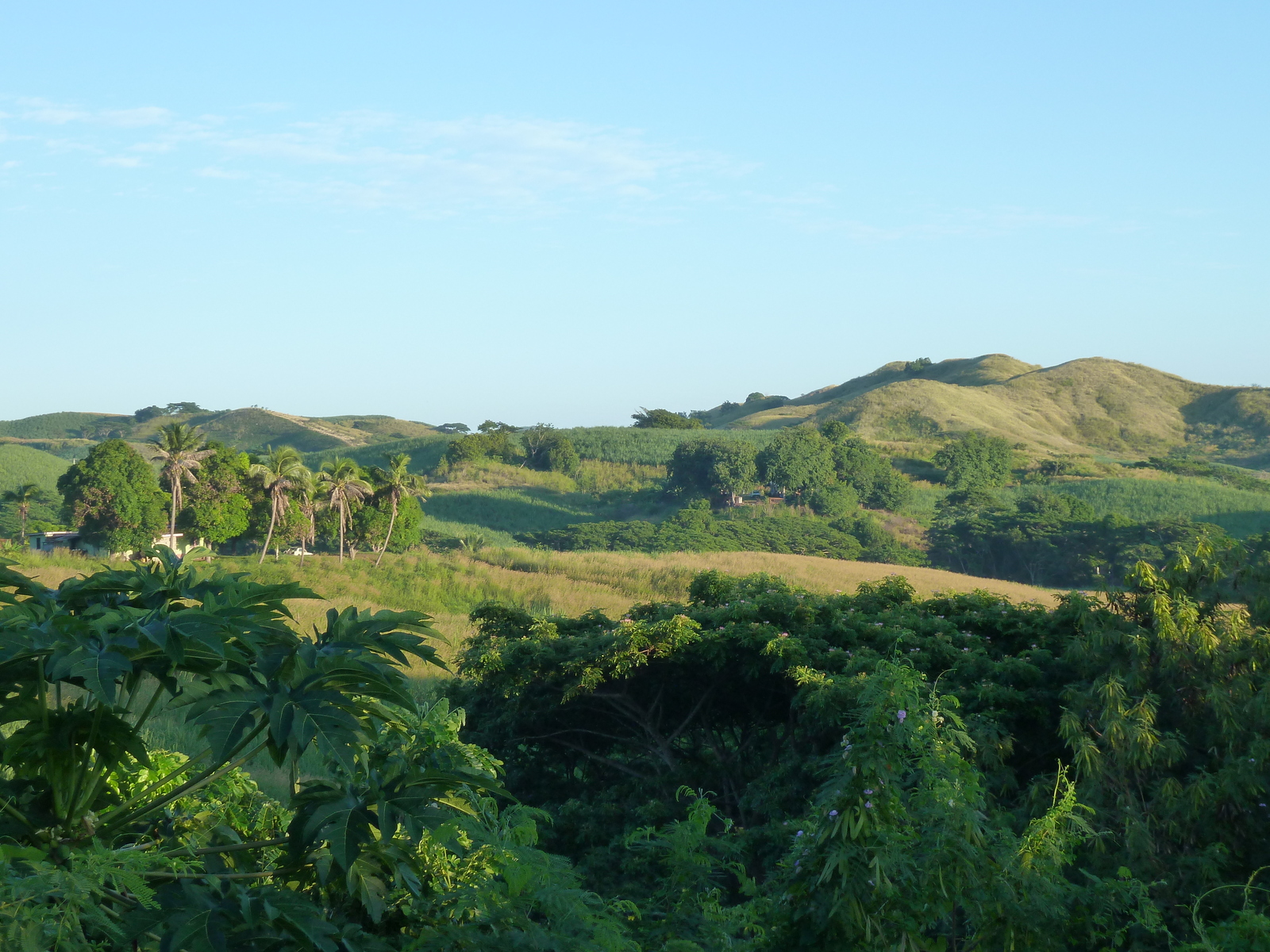 รูปถ่าย ฟิจิ(Fiji) ถนนจากนาดีไปซิงกาโตกา(Nadi to Sigatoka road) 2010-05 17