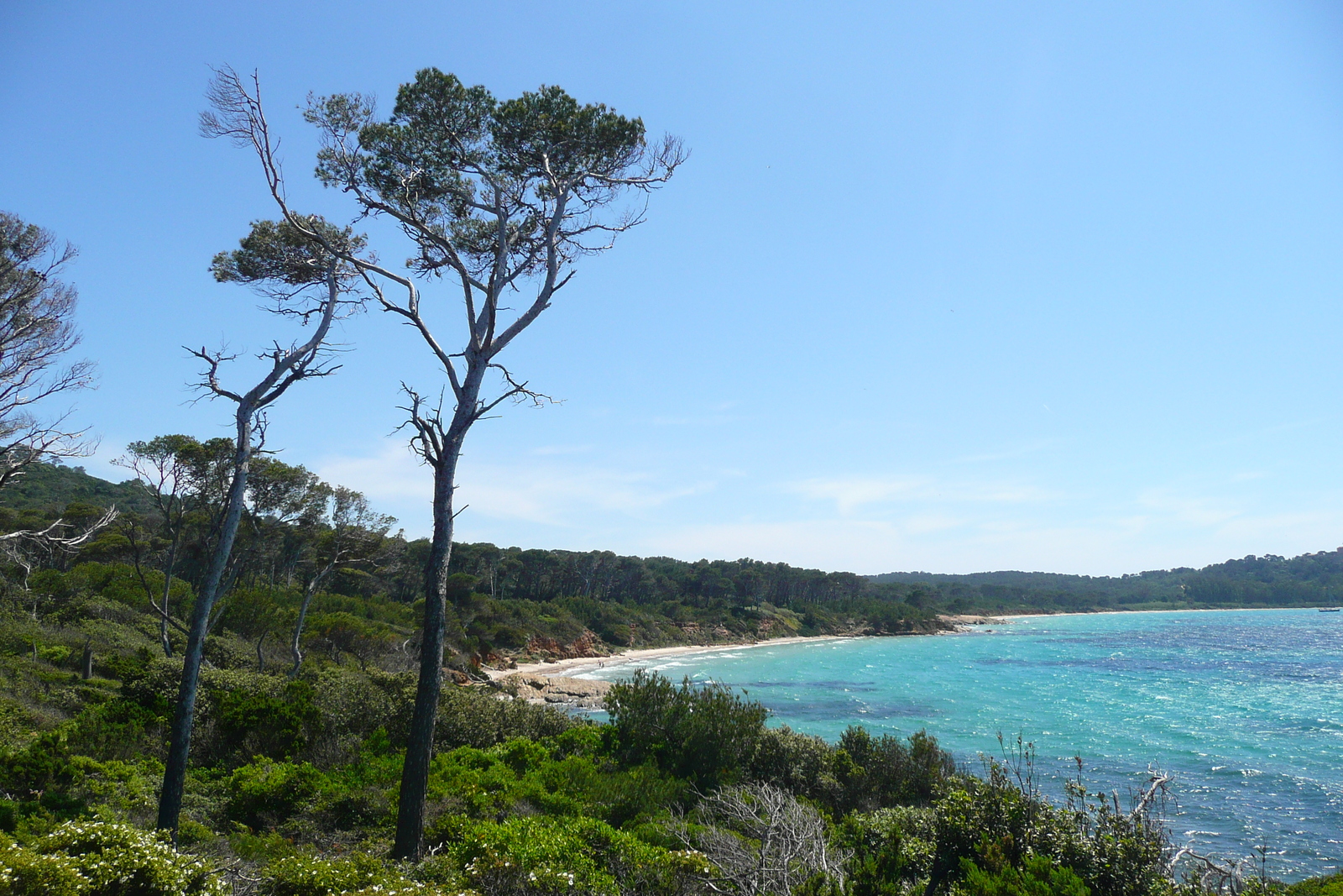 รูปถ่าย ฝรั่งเศส(France) เกาะปอร์เกอรอล(Porquerolles Island) แหลมเลอแก็ง(Pointe du Lequin) 2008-05 15