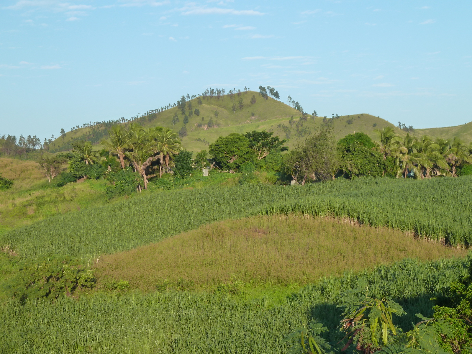 รูปถ่าย ฟิจิ(Fiji) ถนนจากนาดีไปซิงกาโตกา(Nadi to Sigatoka road) 2010-05 4