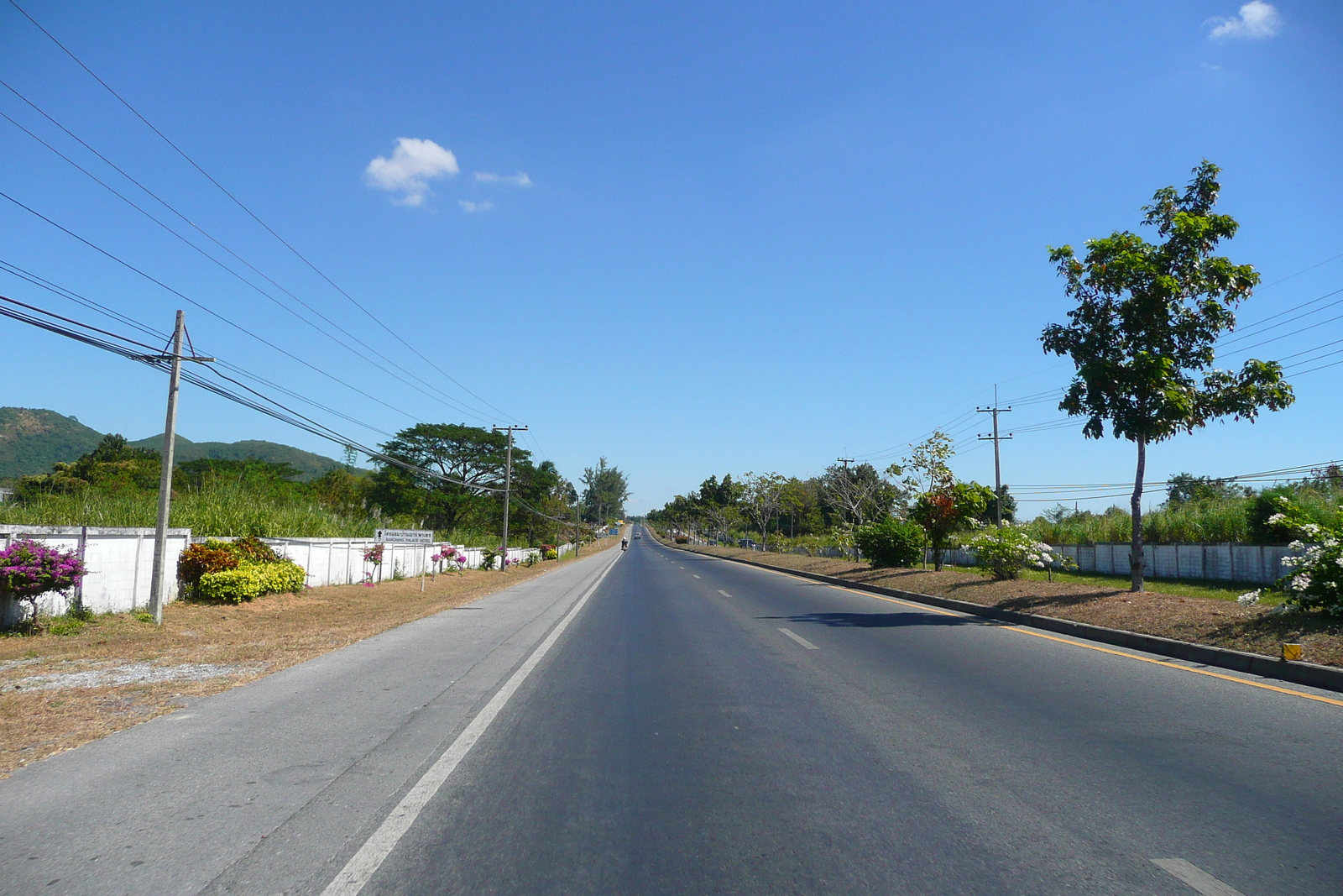 รูปถ่าย ไทย(Thailand) ถนนจากพัทยาไปเกาะเสม็ด(Pattaya to Ko Samet road) 2008-12 137