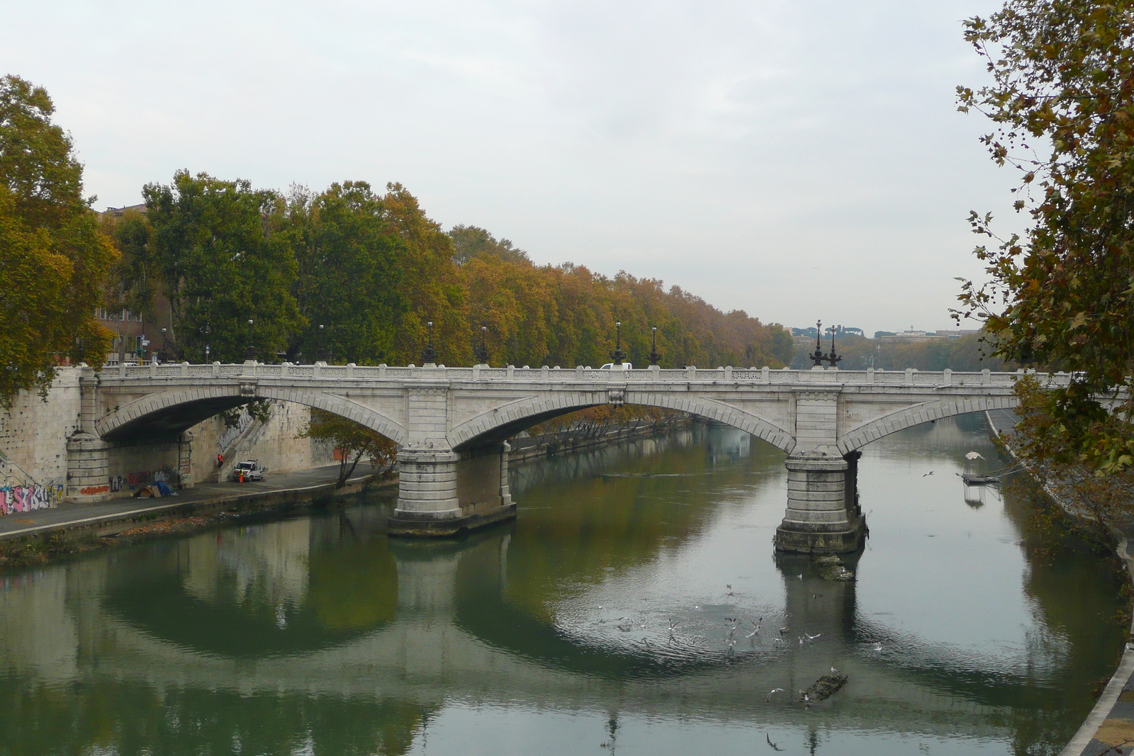รูปถ่าย อิตาลี(Italy) โรม(Rome) ถนนริมน้ำจานีโกเลนเซ(Lungotevere Gianicolense) 2007-11 39