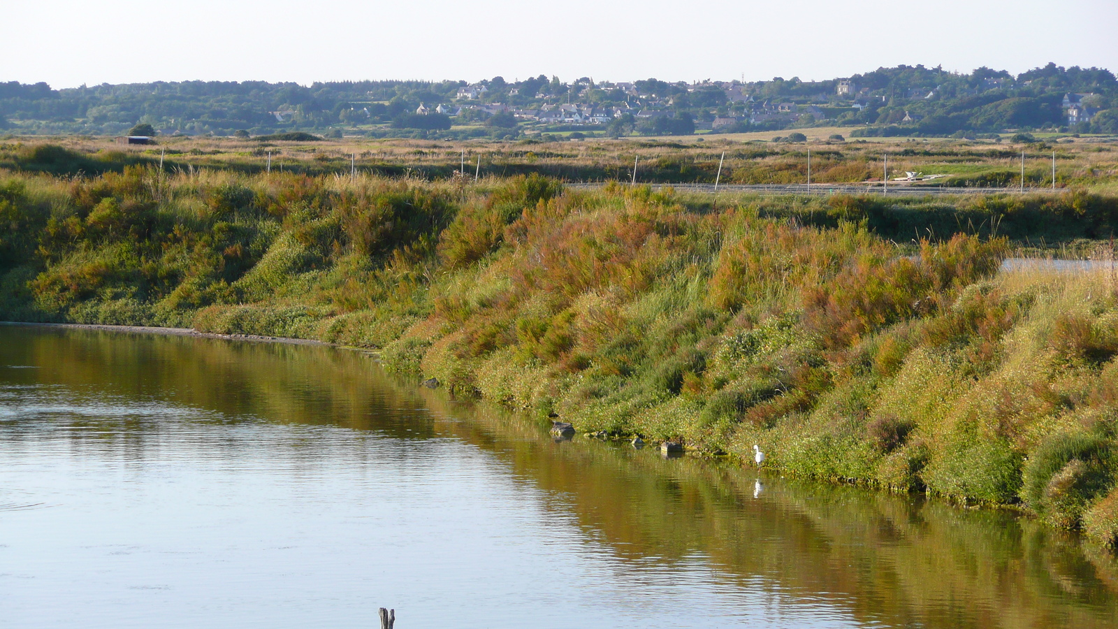 รูปถ่าย ฝรั่งเศส(France) เกรองเดอ(Guerande) นาเกลือ(Les marais salants) 2007-08 30