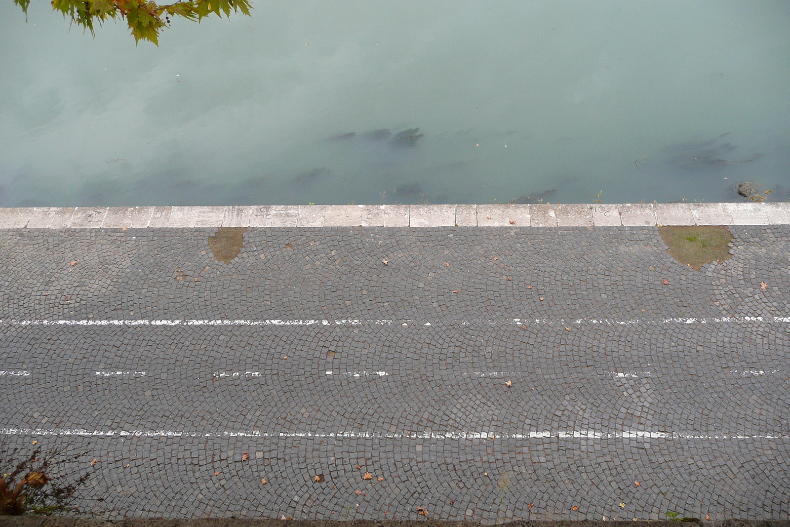 รูปถ่าย อิตาลี(Italy) โรม(Rome) ถนนริมน้ำจานีโกเลนเซ(Lungotevere Gianicolense) 2007-11 24