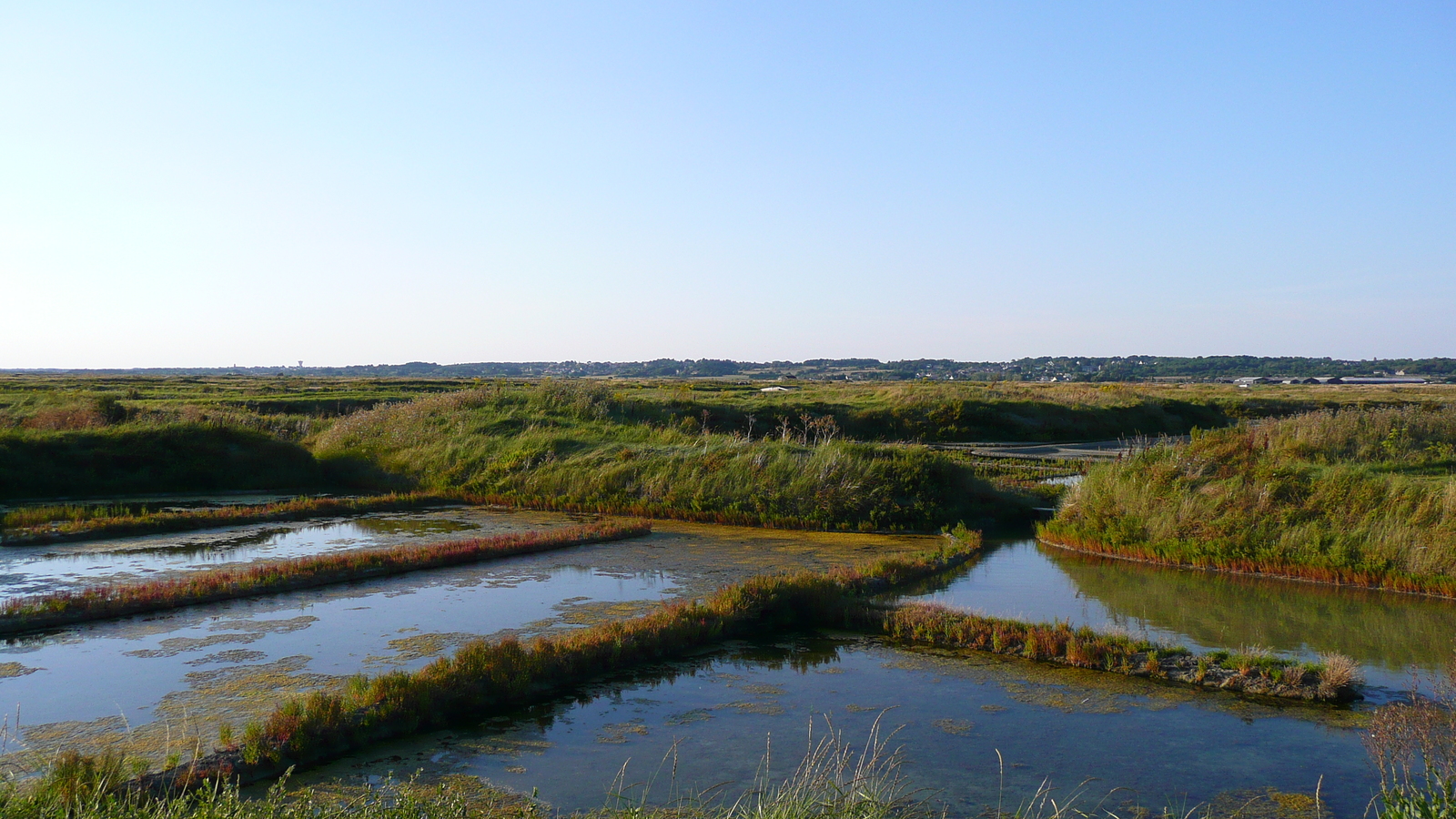 รูปถ่าย ฝรั่งเศส(France) เกรองเดอ(Guerande) นาเกลือ(Les marais salants) 2007-08 16