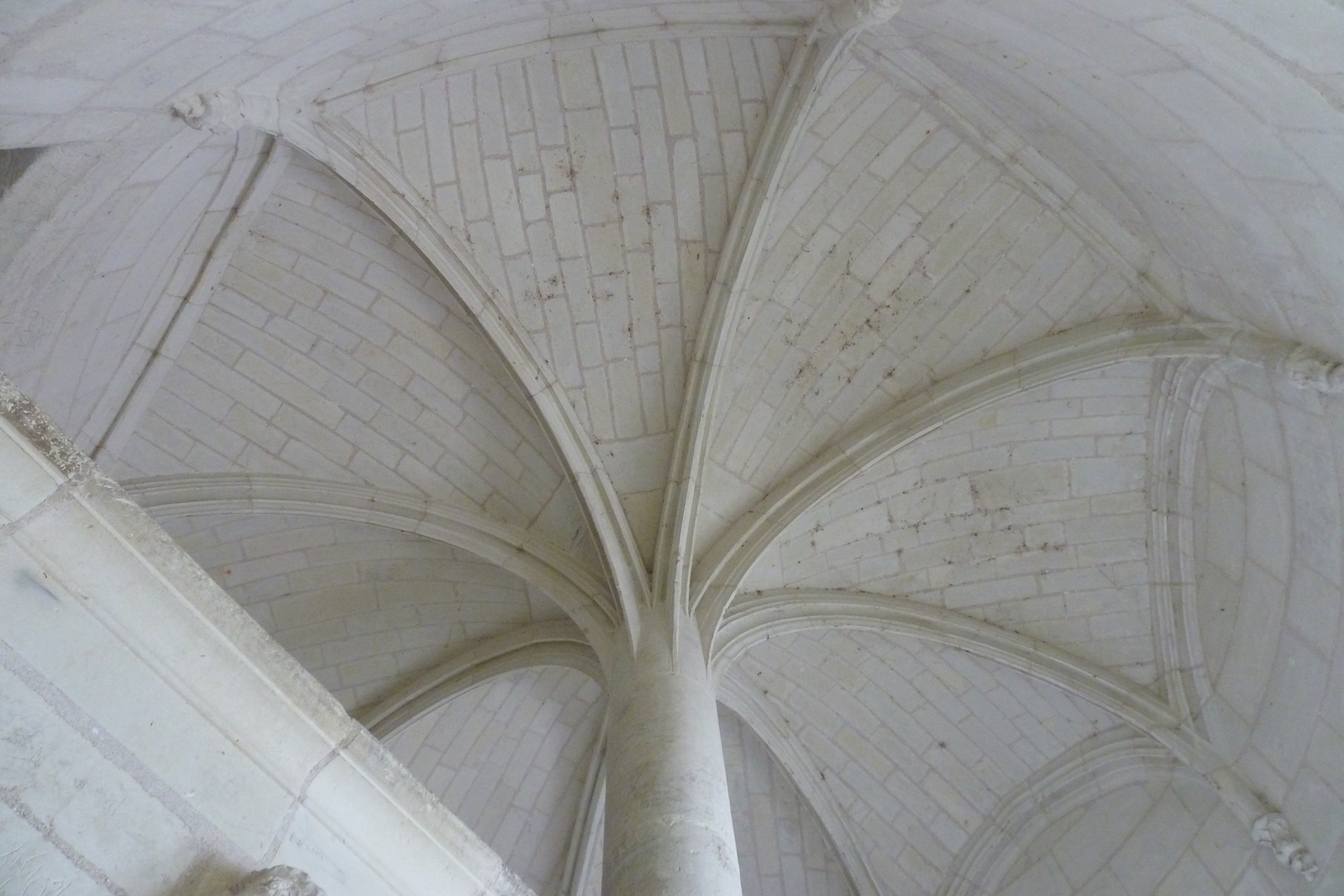 รูปถ่าย ฝรั่งเศส(France) ปราสาทมงโซโร(Montsoreau Castle) 2011-05 198