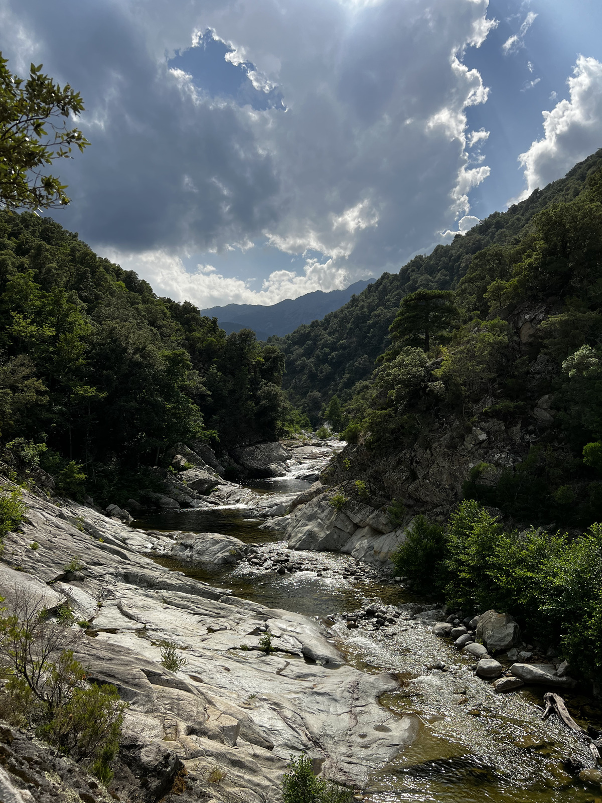 รูปถ่าย ฝรั่งเศส(France) คอร์สิคา(Corsica) คีซา(Chisa) 2022-08 24