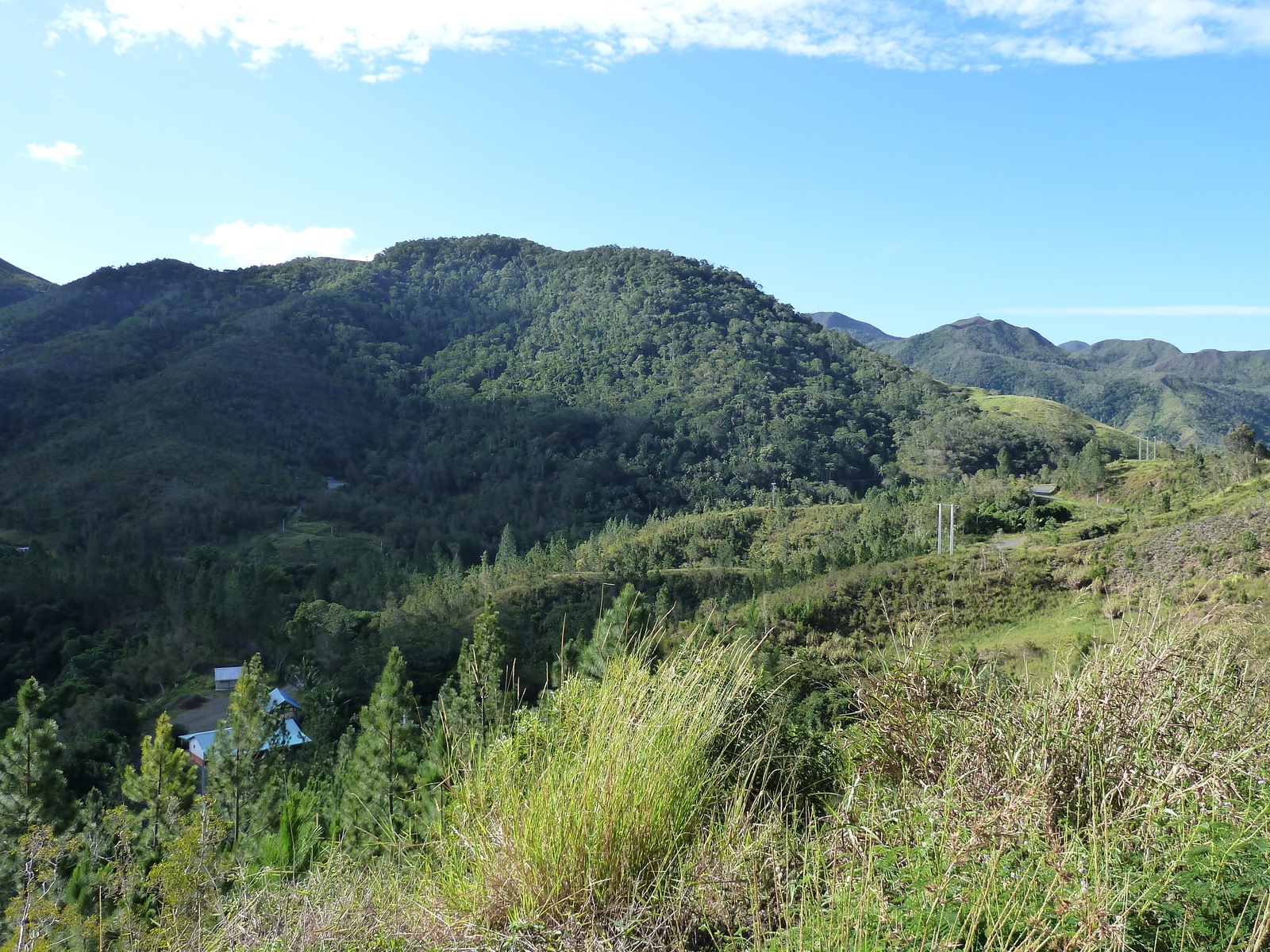 รูปถ่าย นิวแคลิโดเนีย(New Caledonia) ถนนจากกานาลาไปลาฟัว(Canala to La Foa road) 2010-05 13