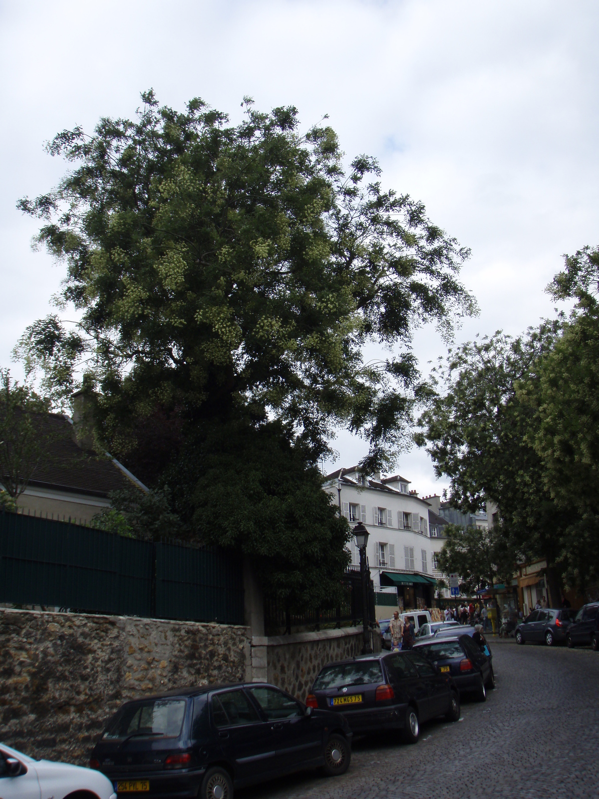 รูปถ่าย ฝรั่งเศส(France) ปารีส(Paris) คุ้ม 18 ในปารีส(18th Arrondissement) 2007-07 48