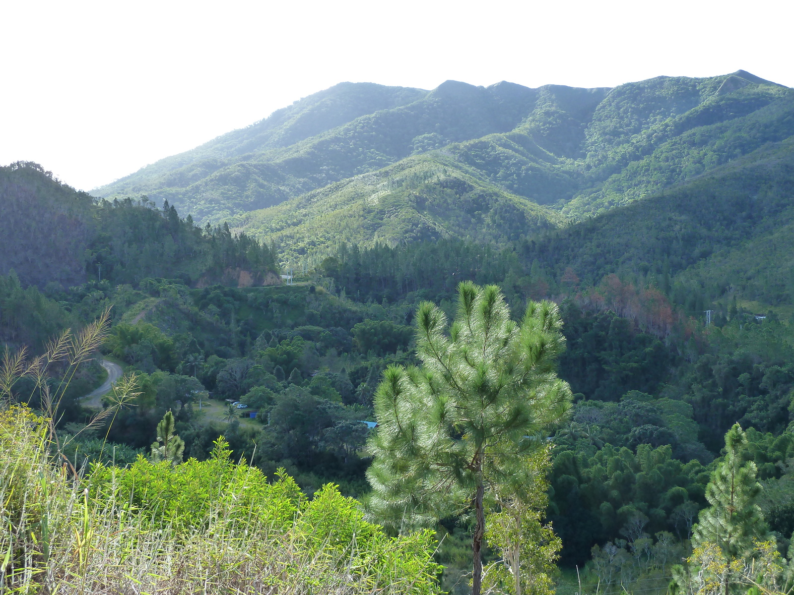 รูปถ่าย นิวแคลิโดเนีย(New Caledonia) ถนนจากกานาลาไปลาฟัว(Canala to La Foa road) 2010-05 10