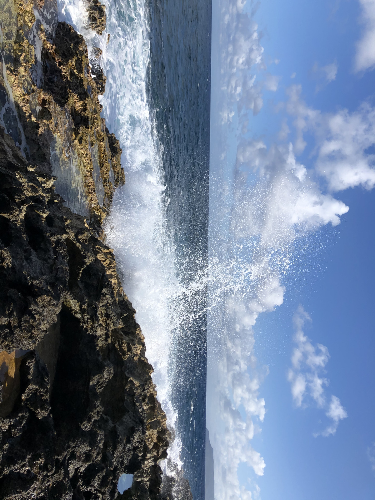 รูปถ่าย กวาเดอลูป(Guadeloupe) แหลมคาสเซิลพอยต์(Castle Point) 2021-02 248