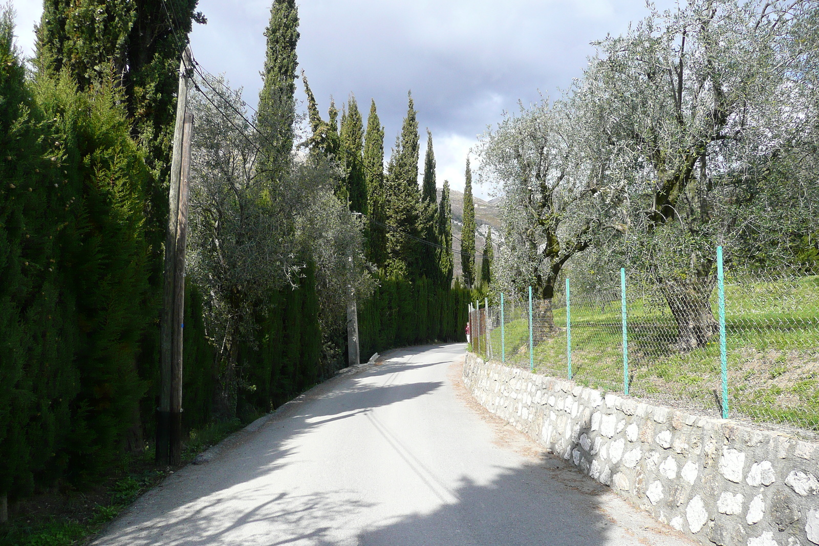 รูปถ่าย ฝรั่งเศส(France) วังซ์(Vence) โอเดอว็องส์(Hauts de Vence) 2008-03 81