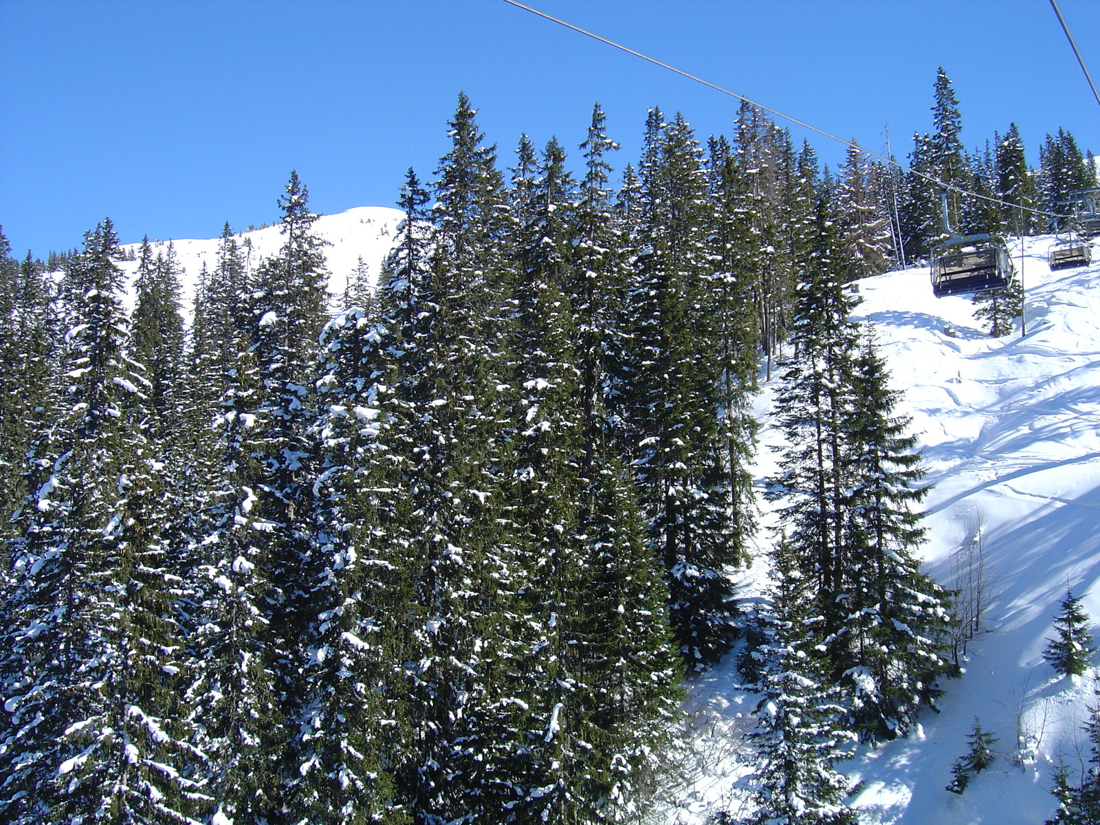 รูปถ่าย ออสเตรีย(Austria) คิทซ์บูเฮล(Kitzbuhel) สกี(Ski) 2005-03 149